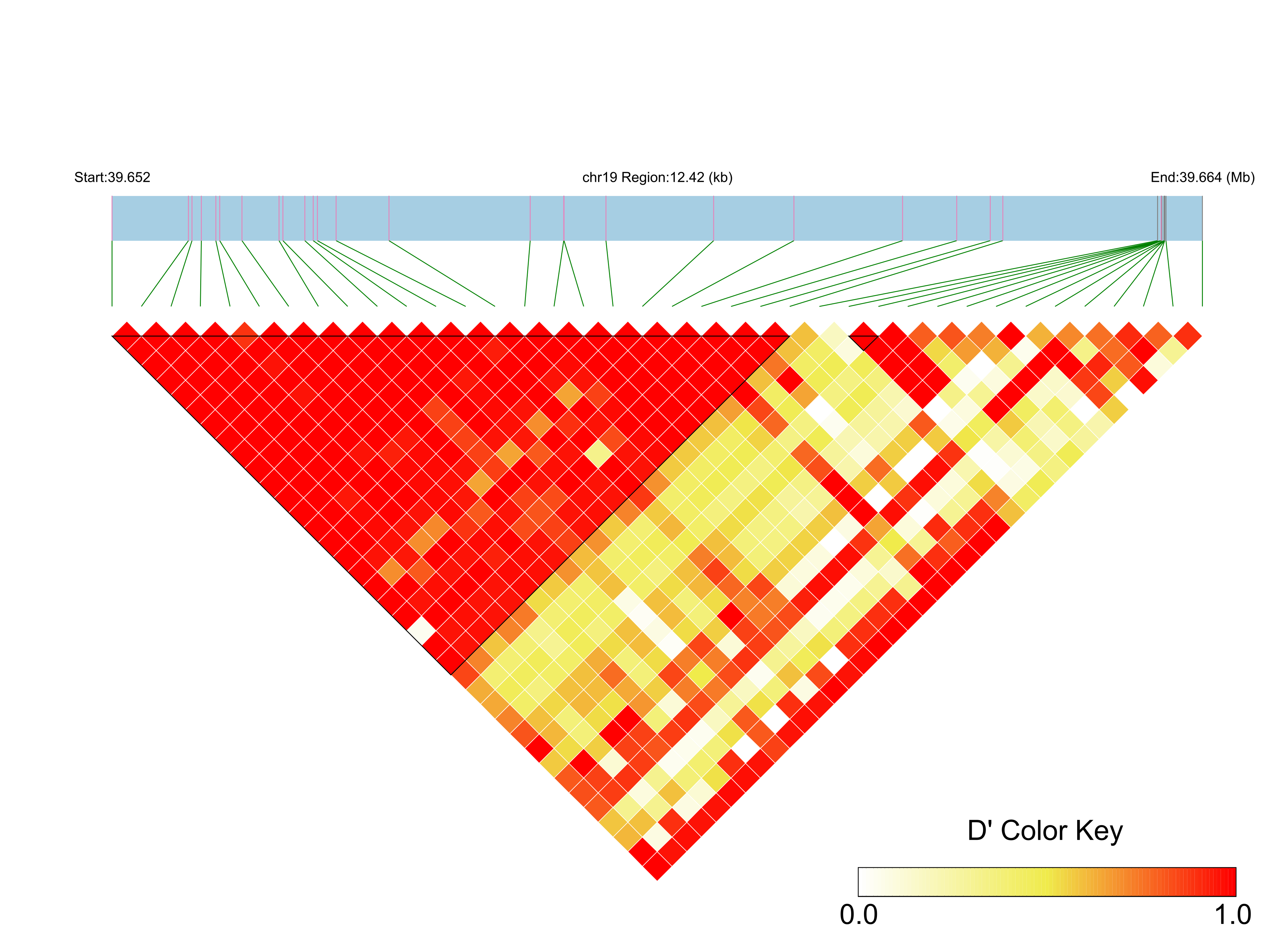 LD