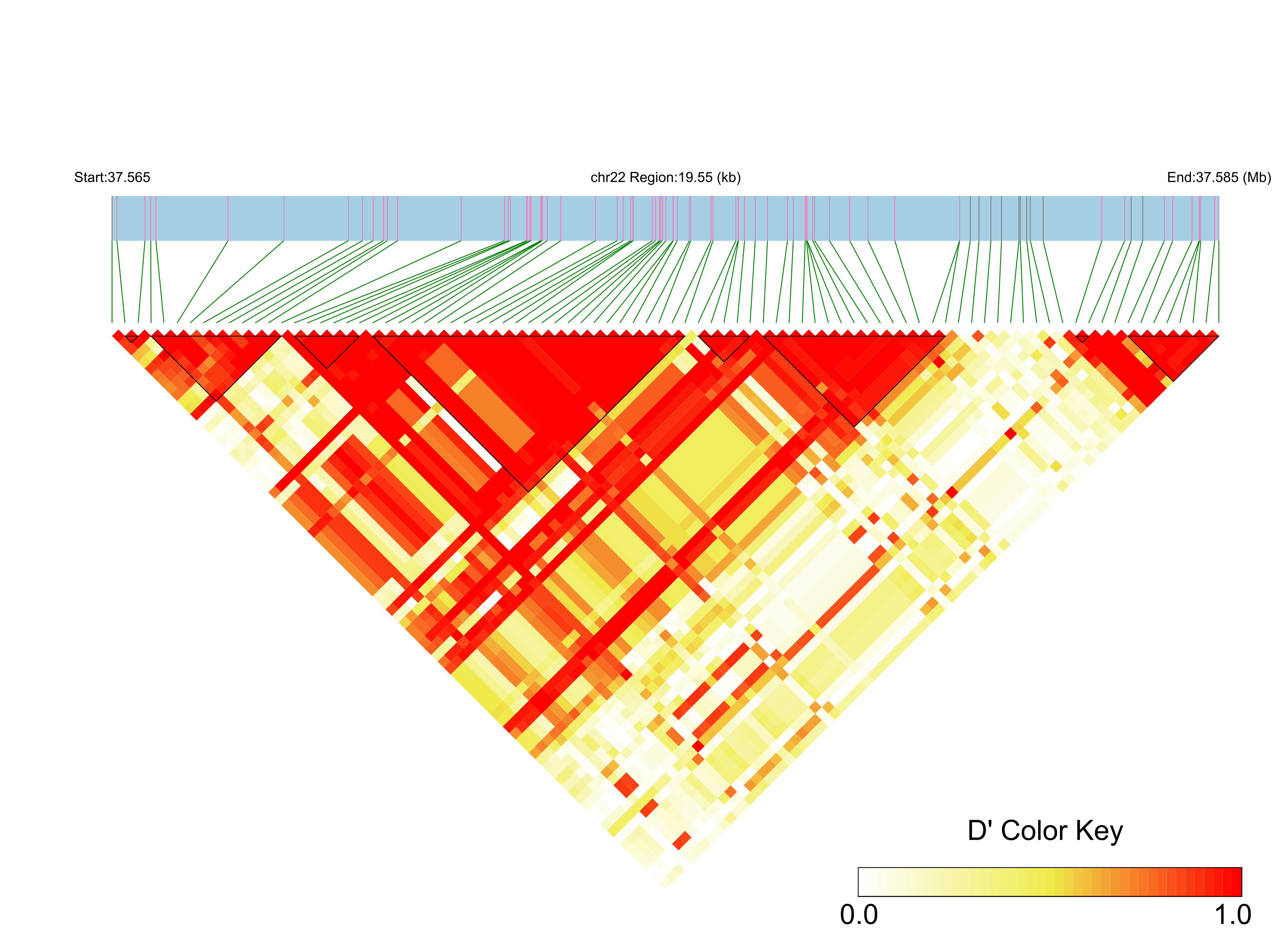 LD