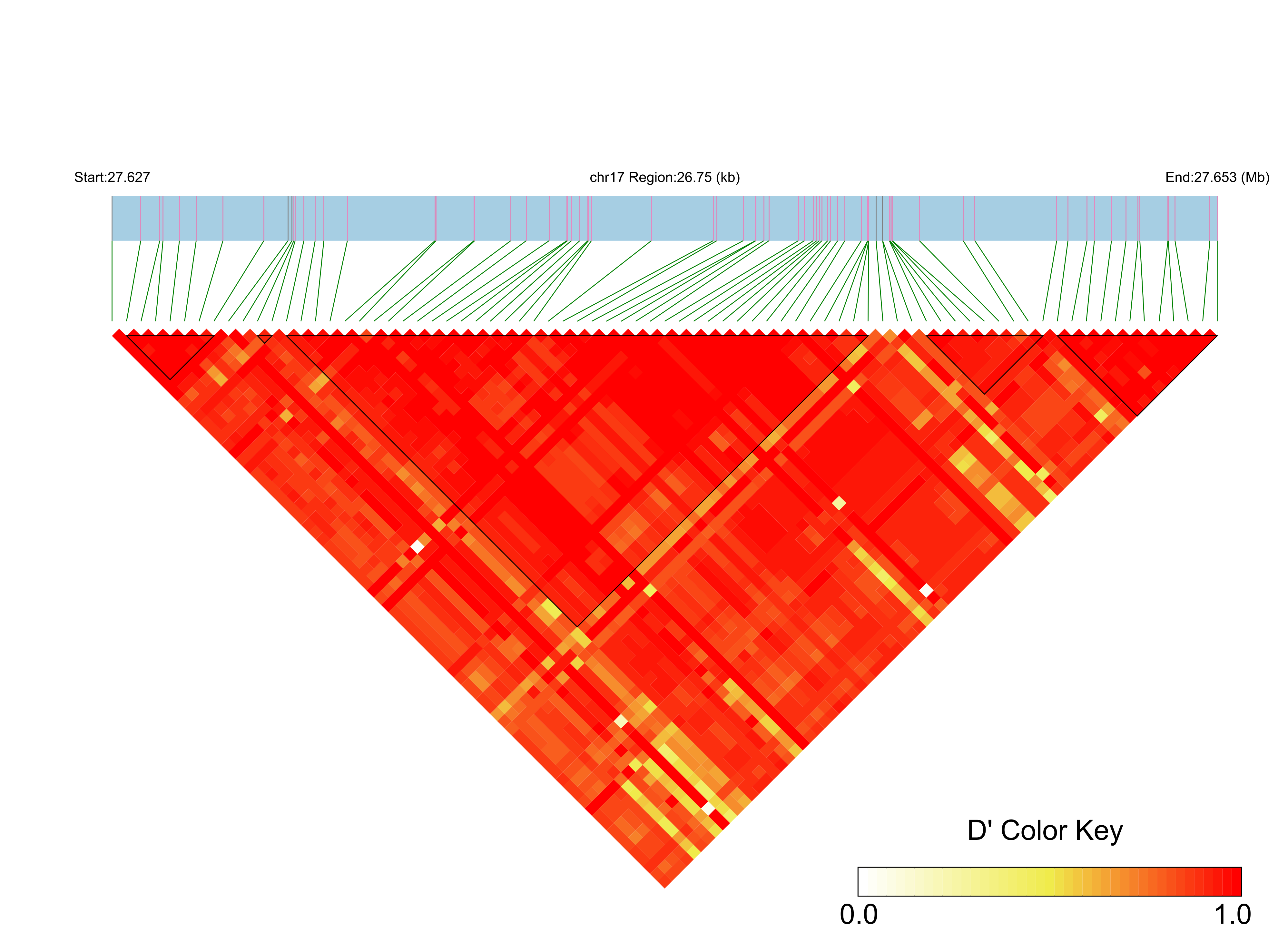 LD