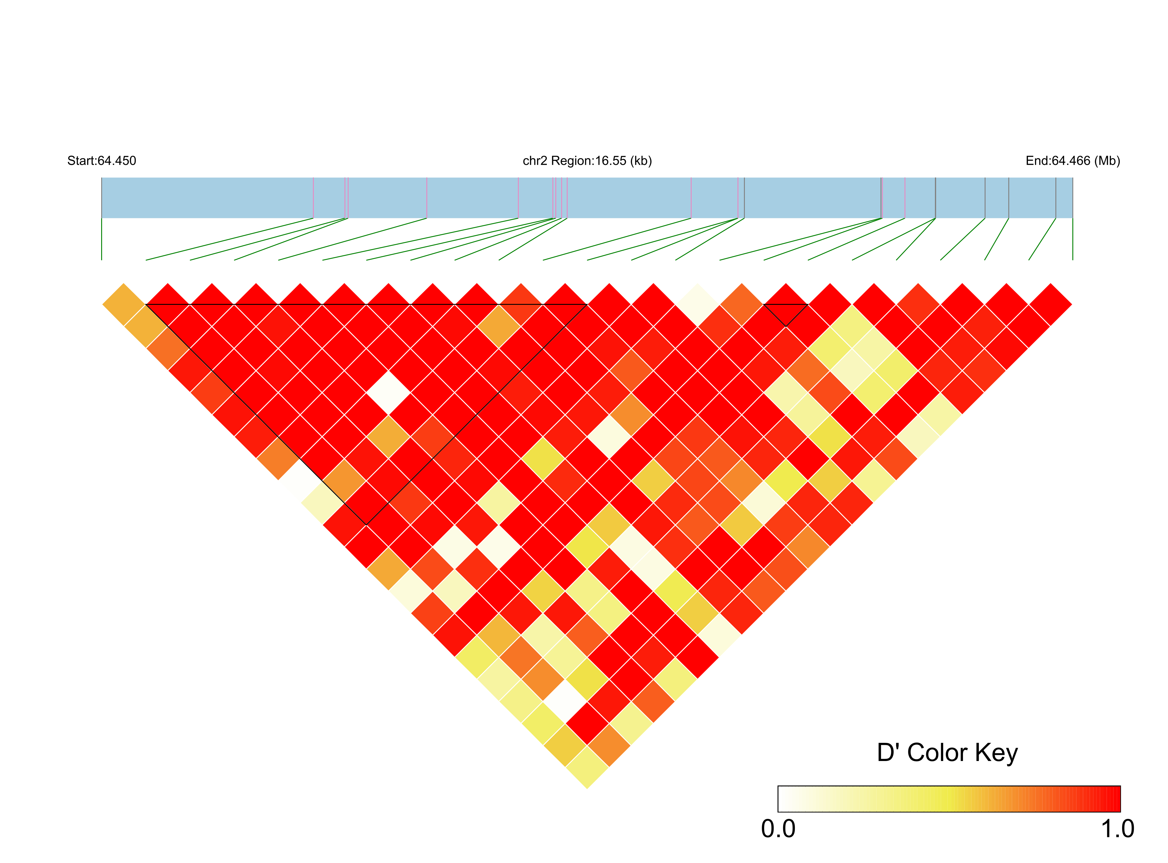 LD
