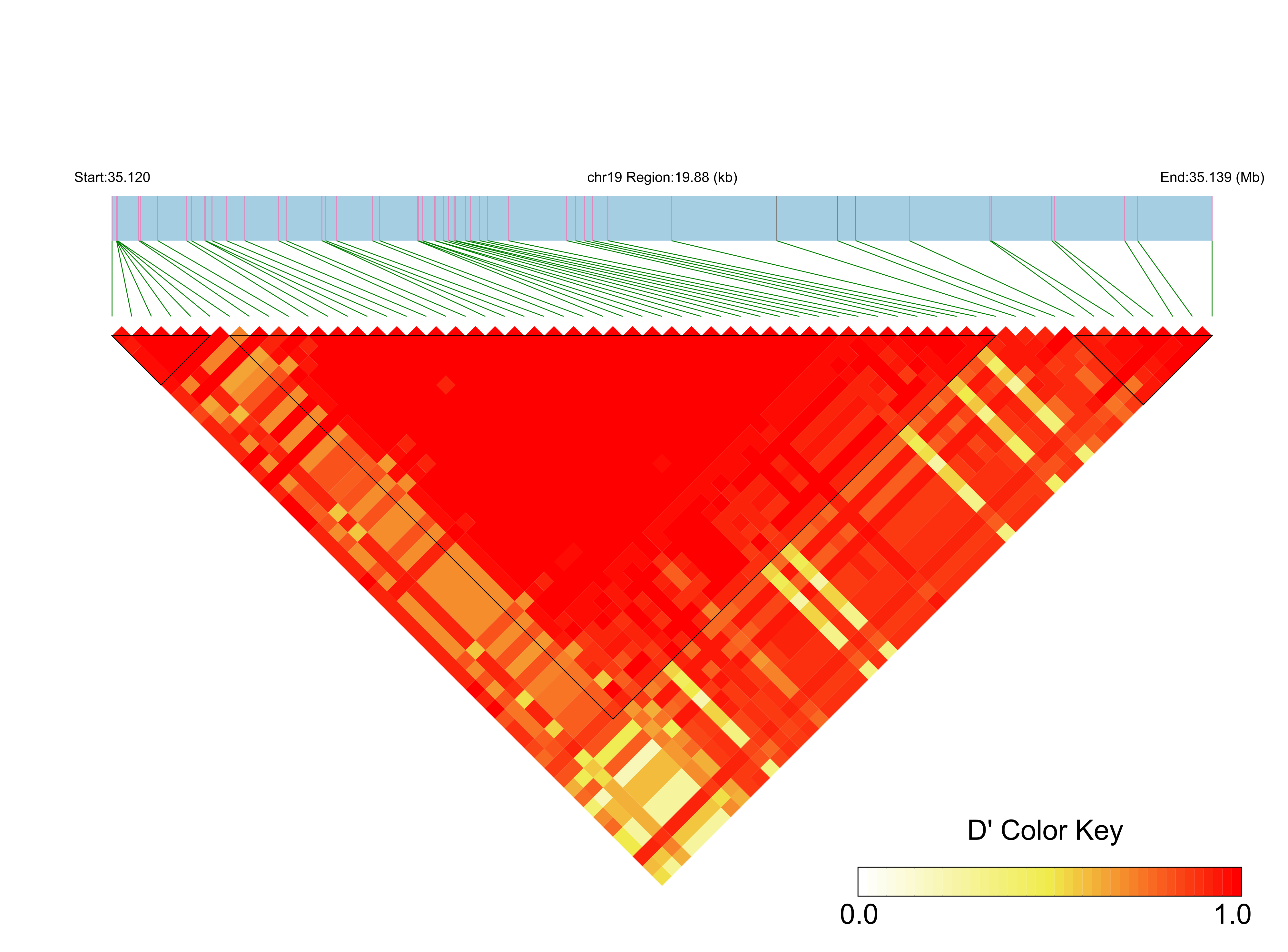 LD