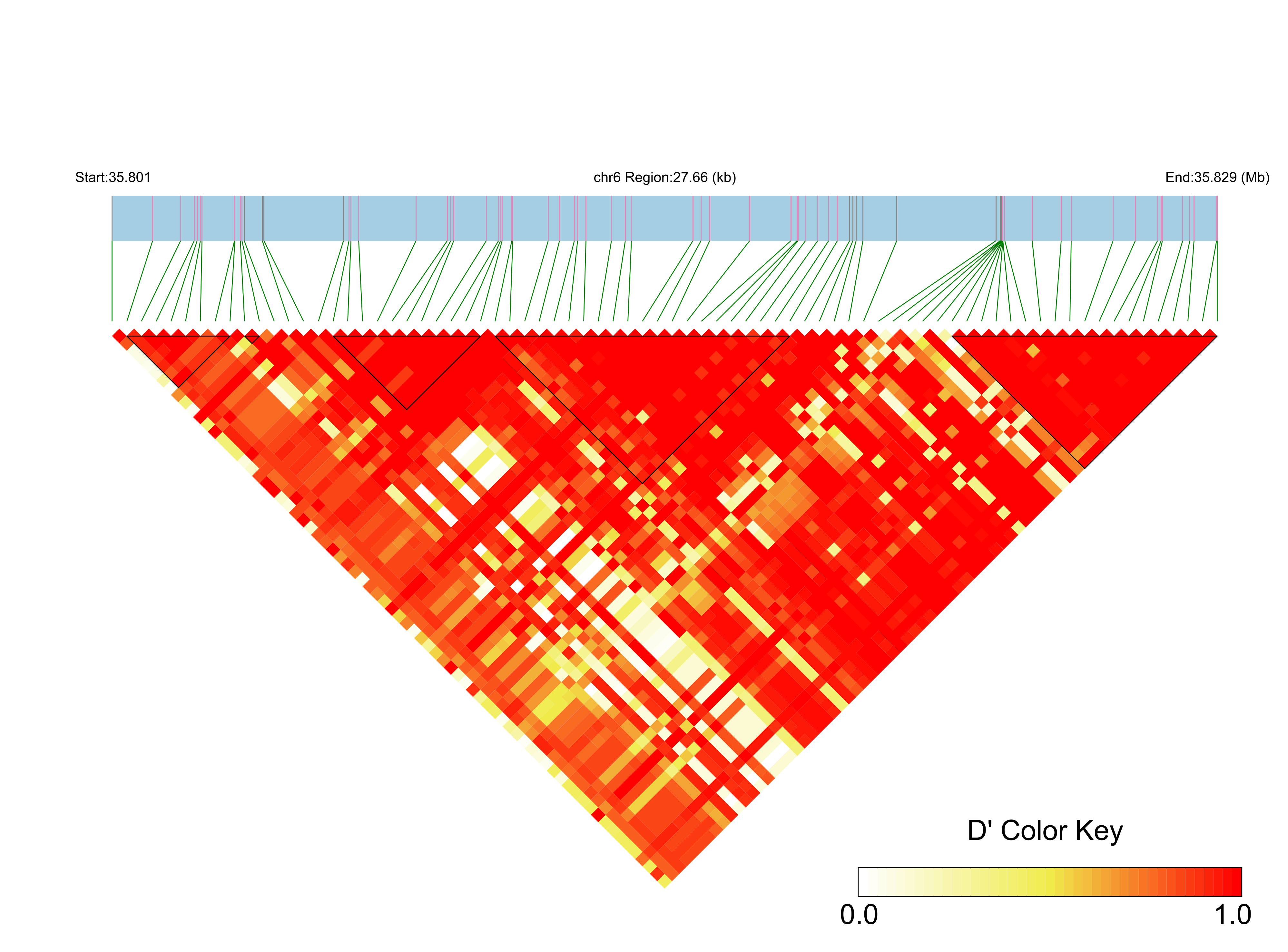 LD