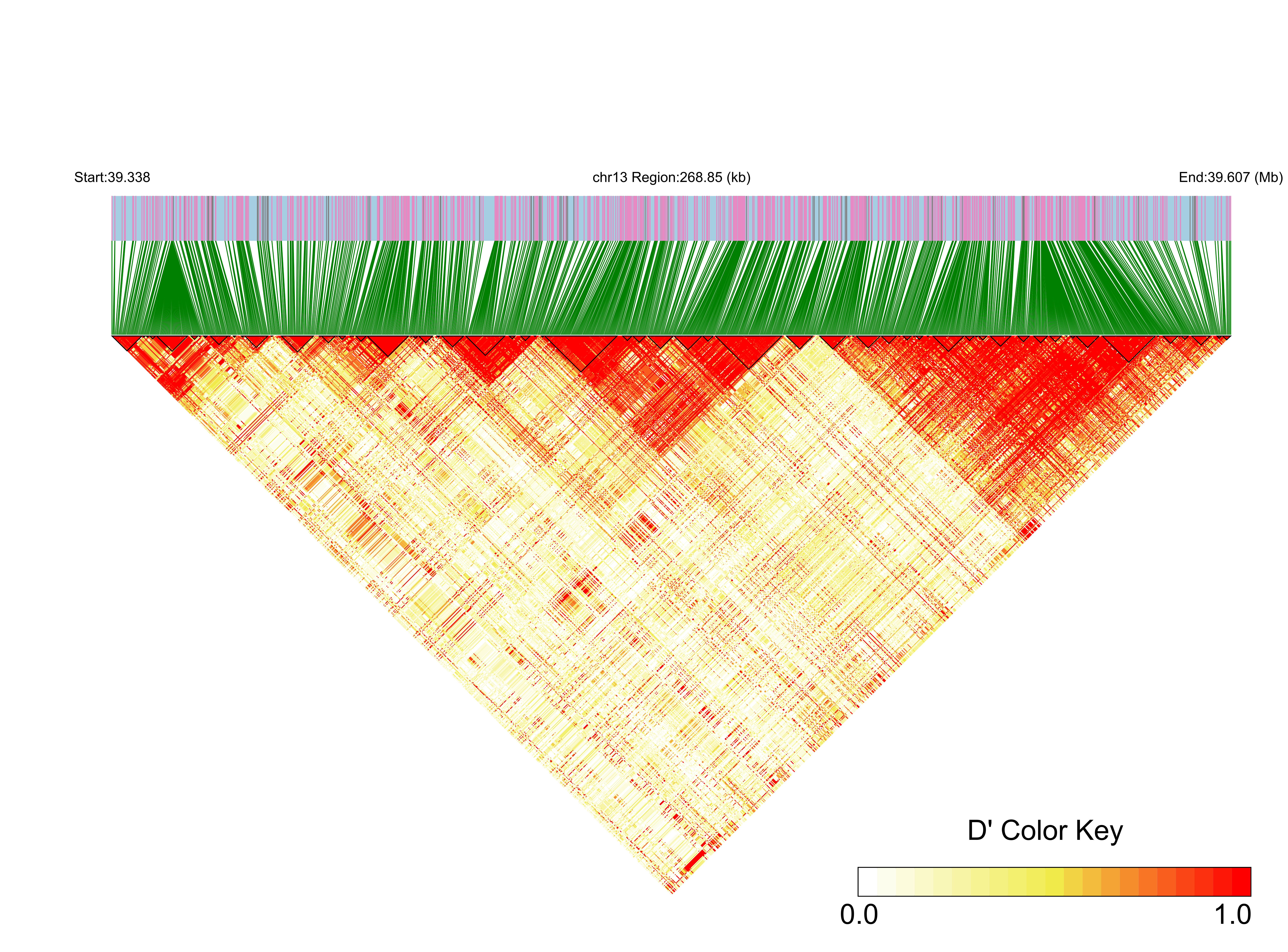 LD