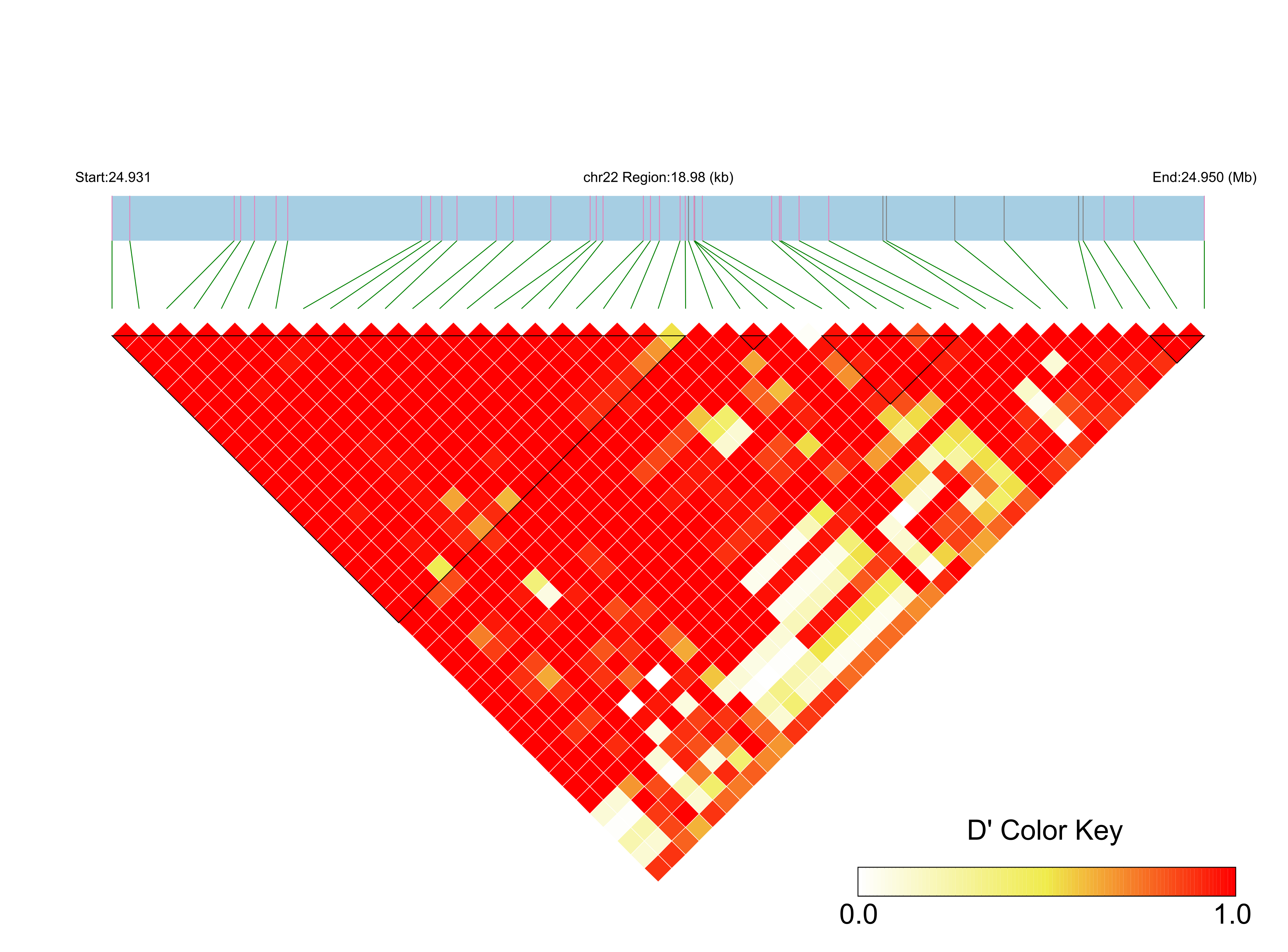 LD