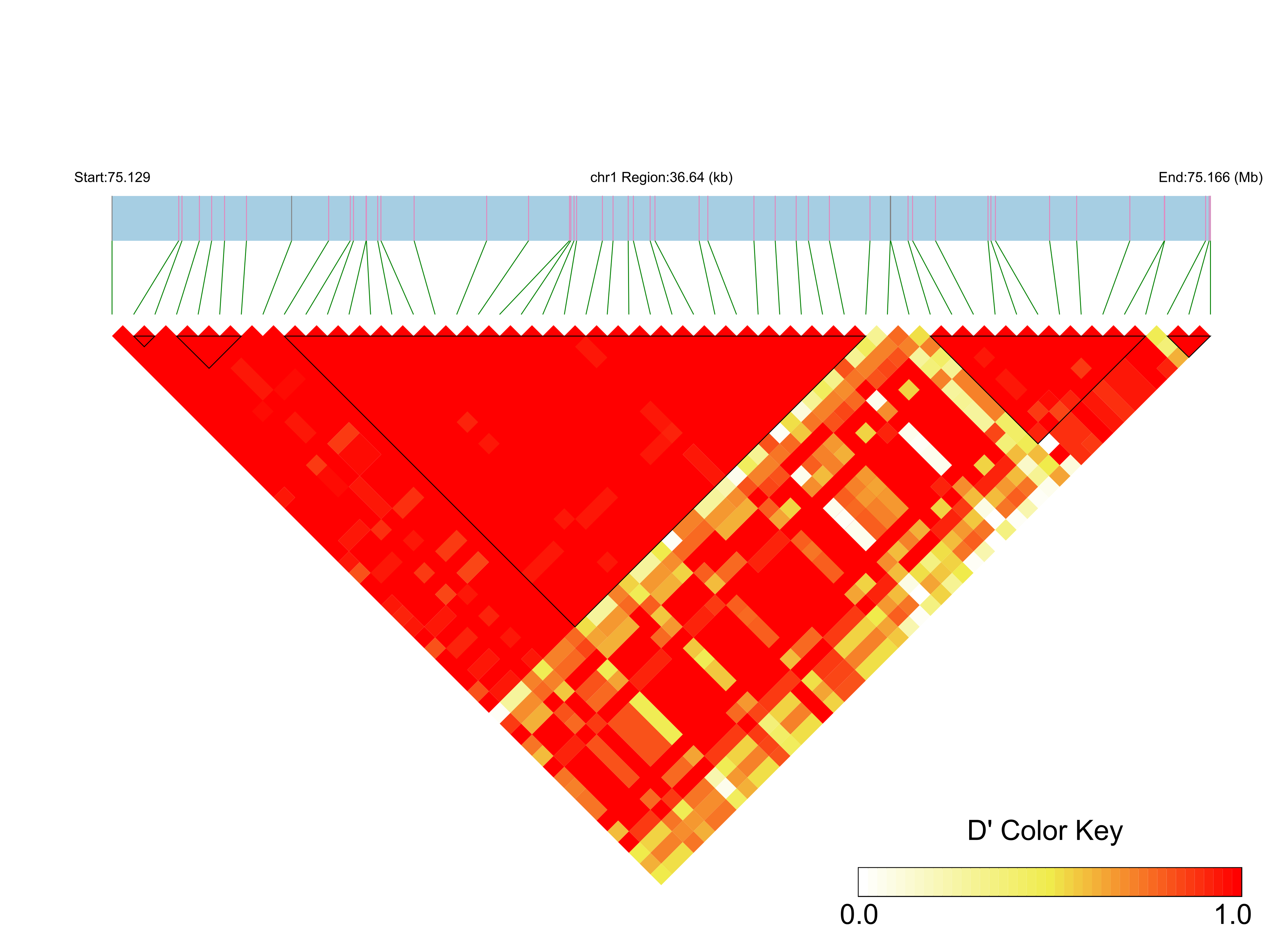 LD