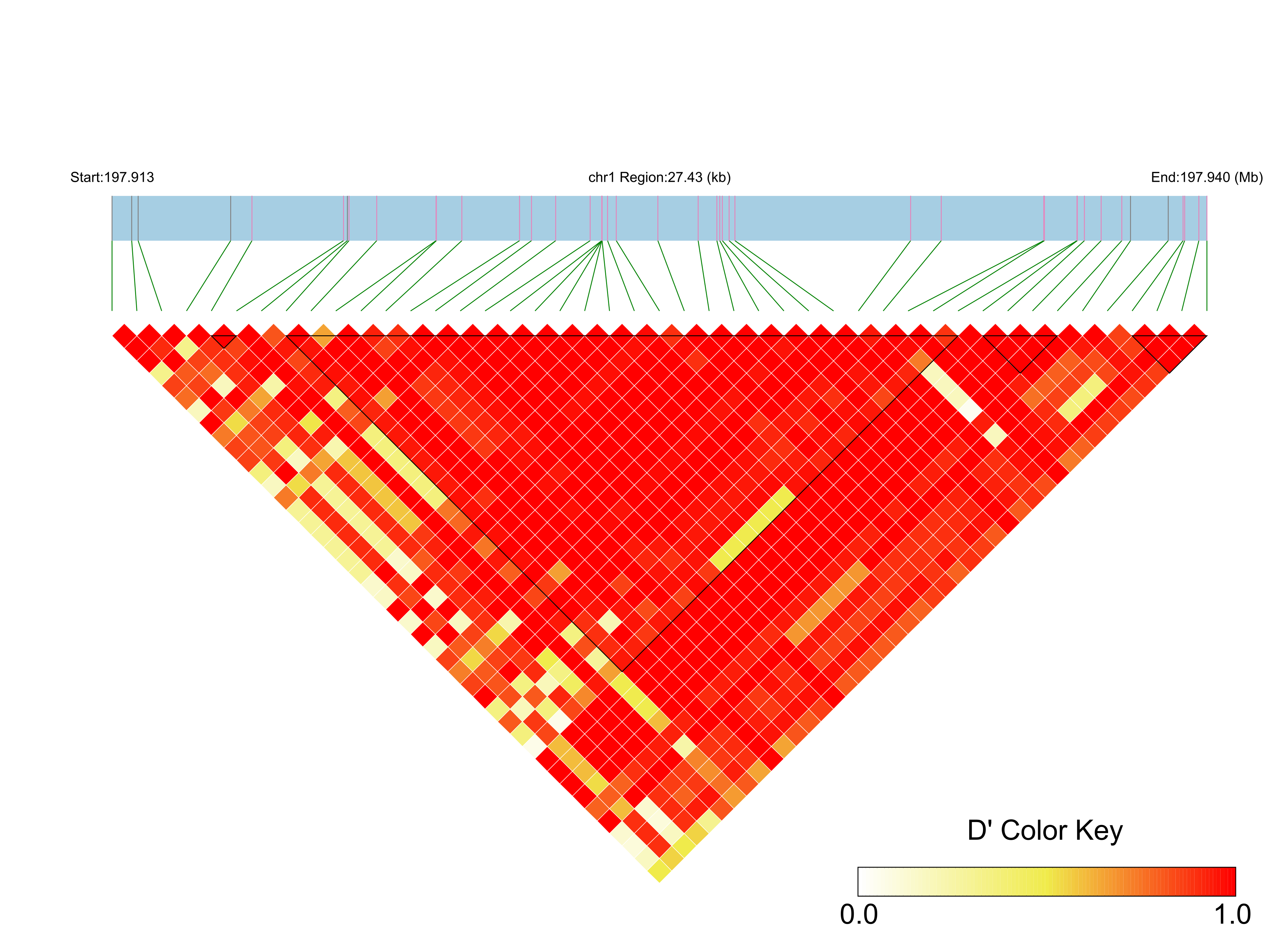 LD