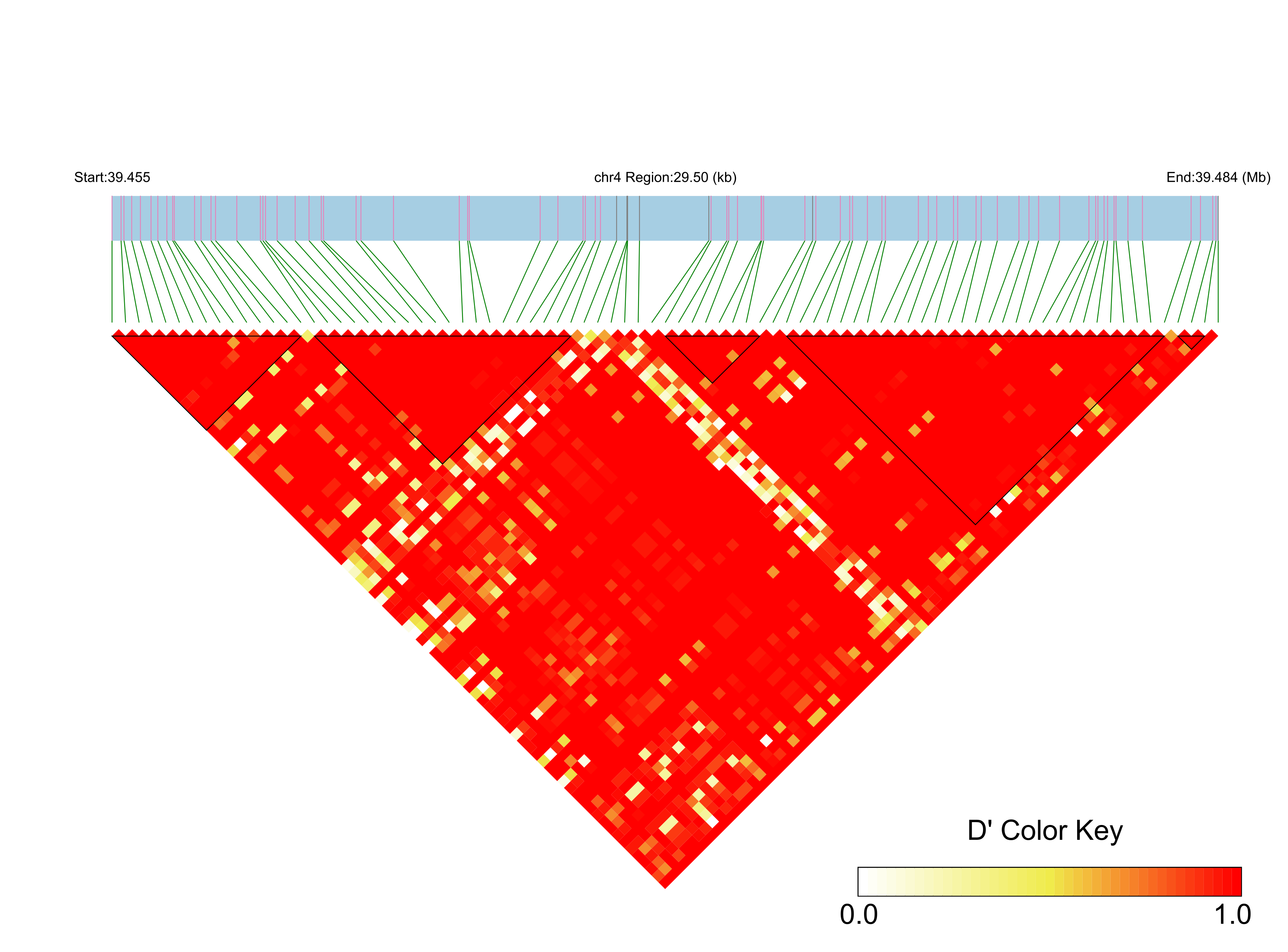 LD