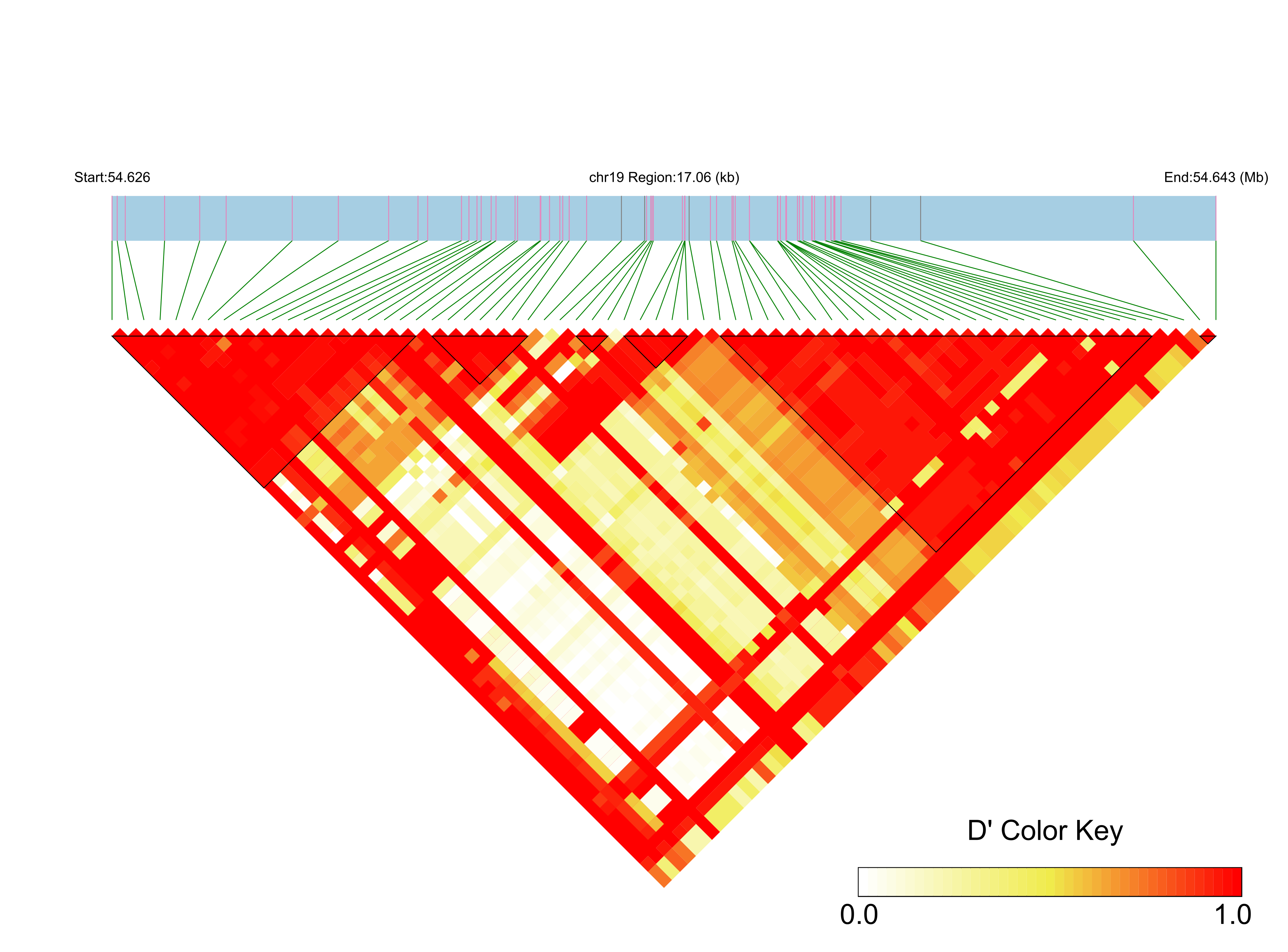 LD