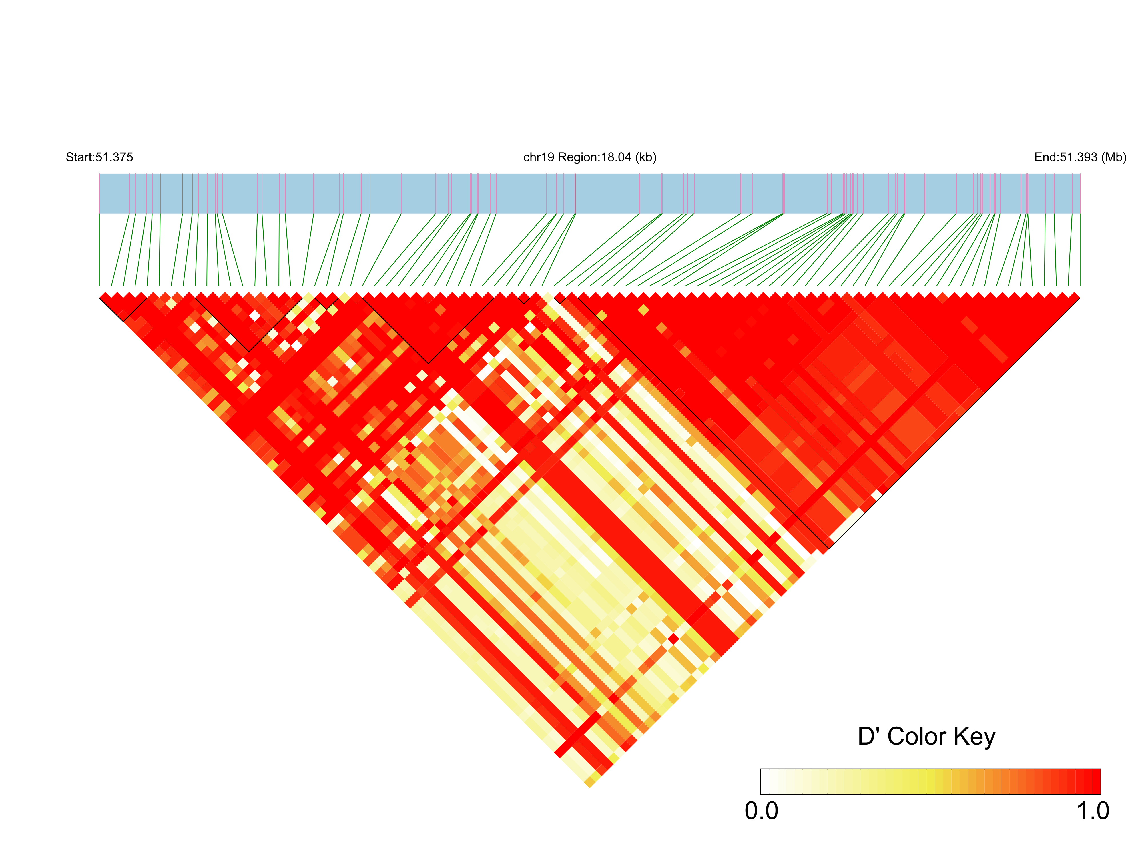 LD