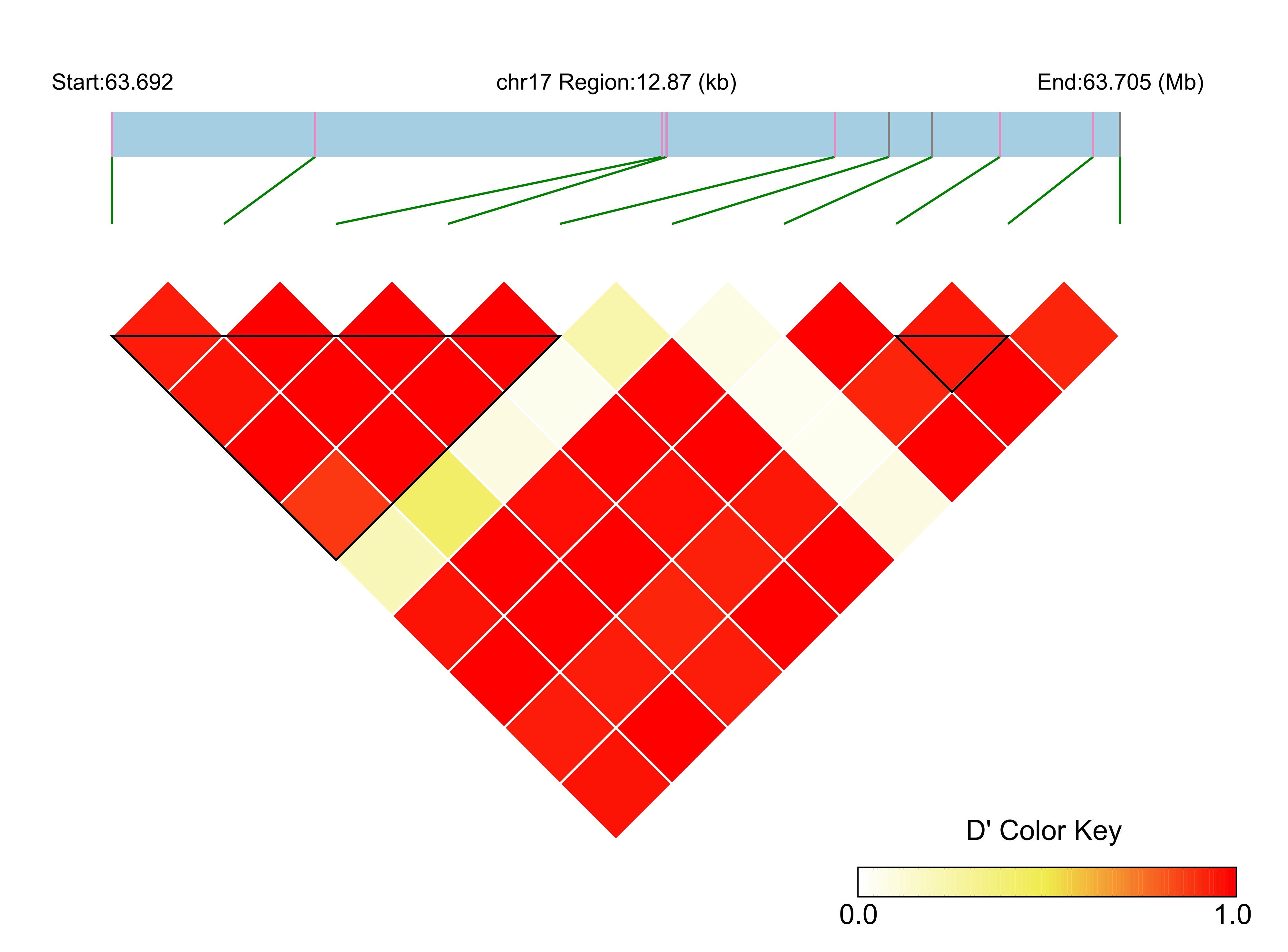 LD