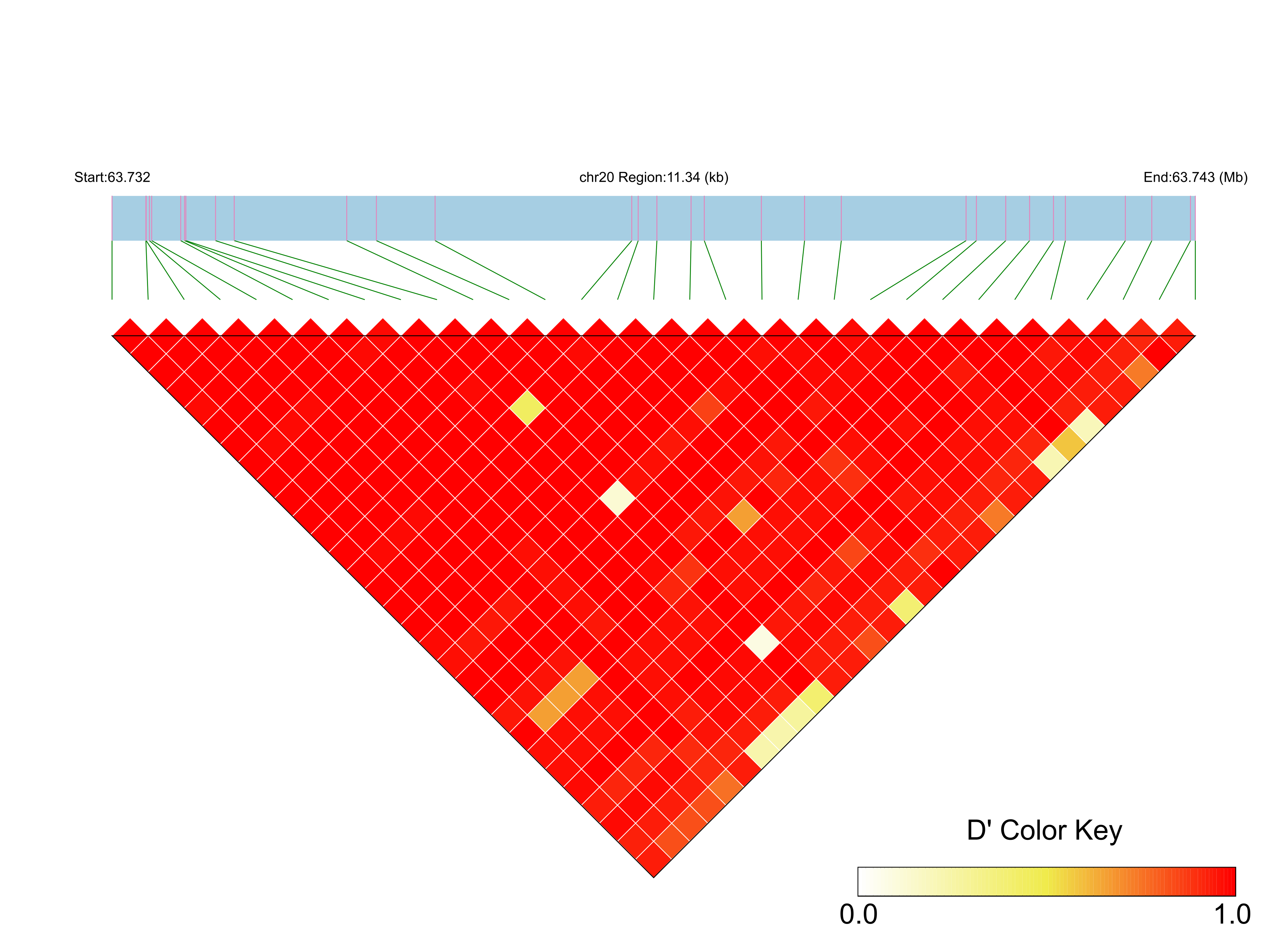 LD