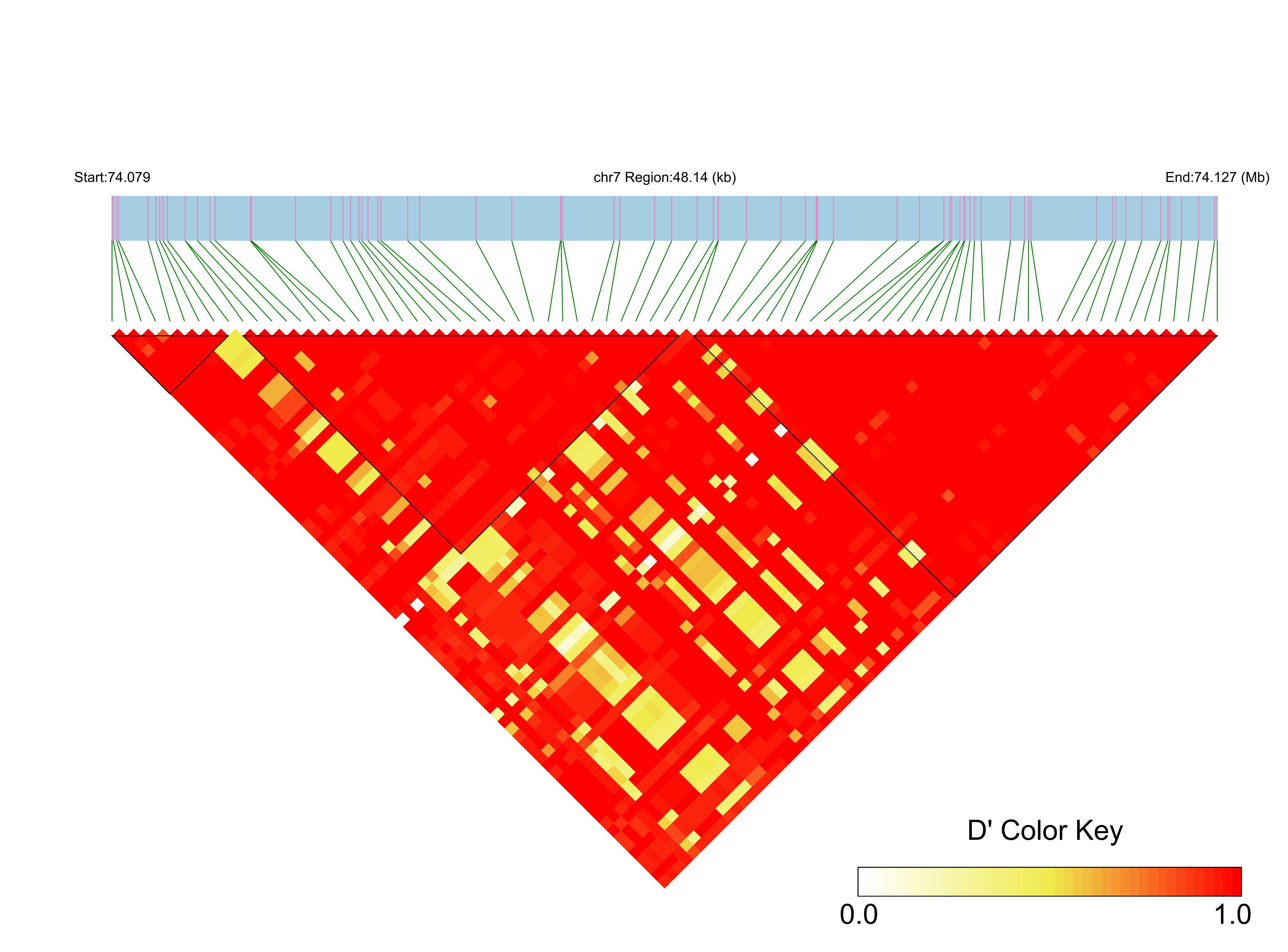 LD