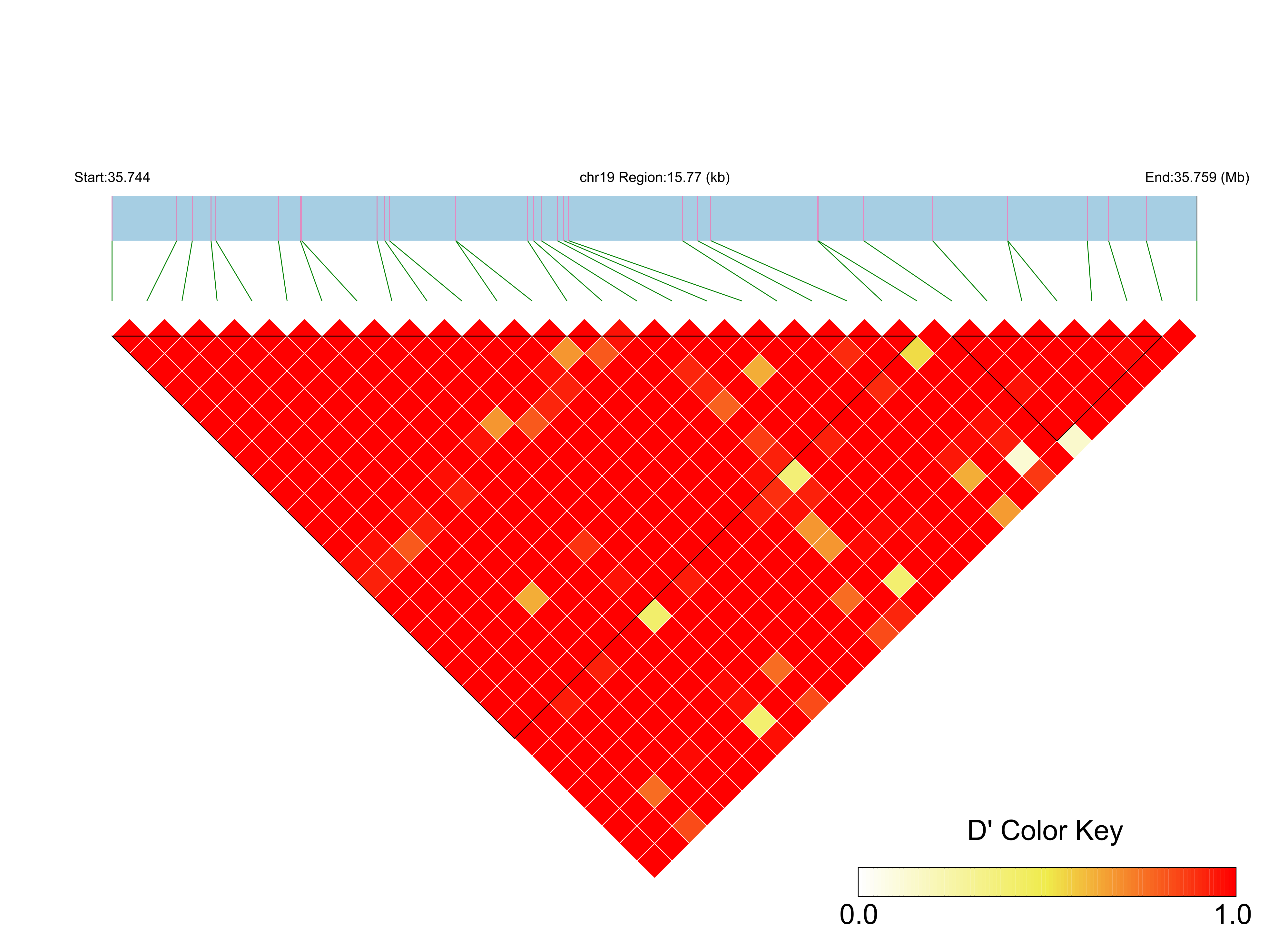 LD