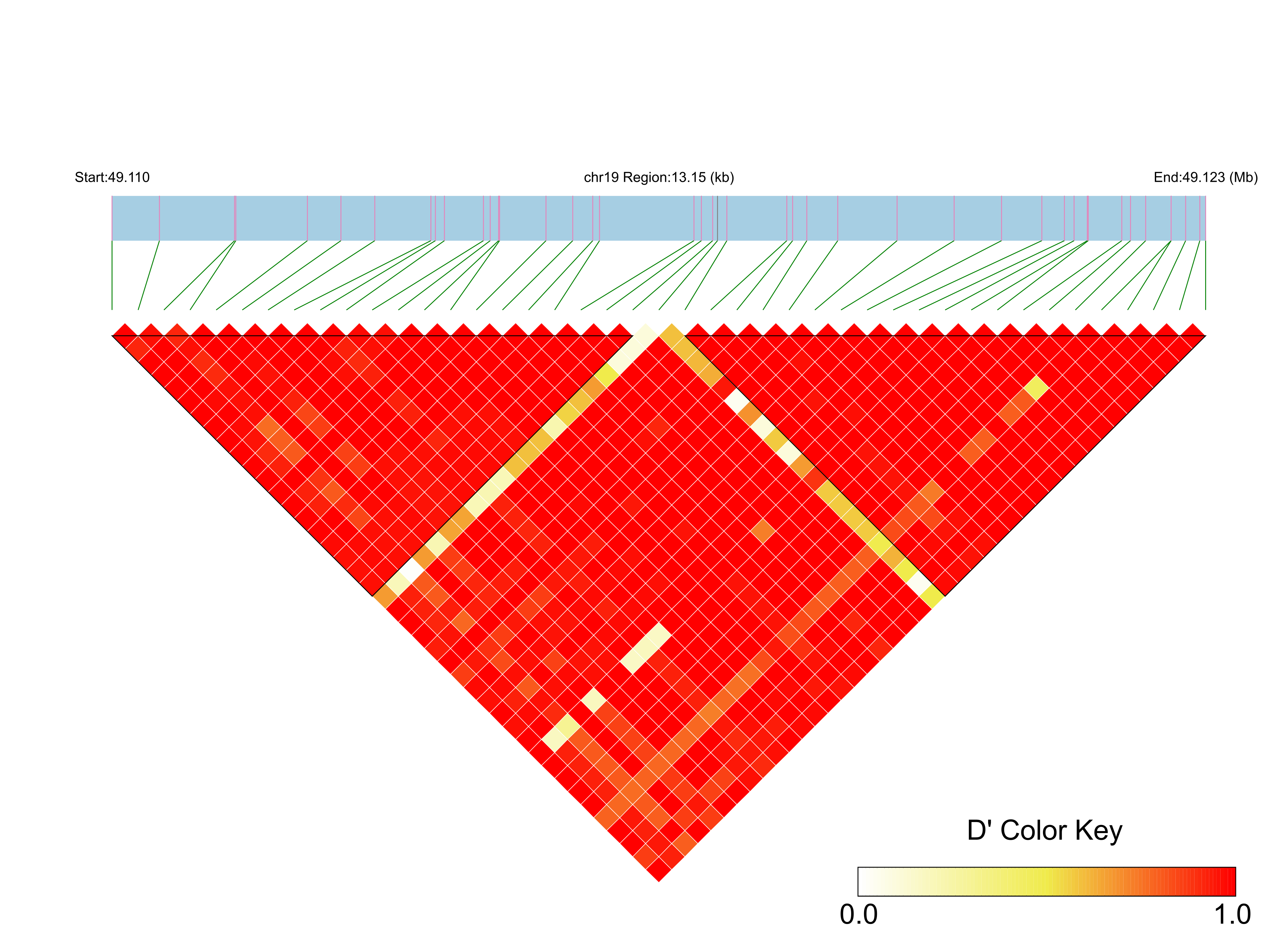 LD