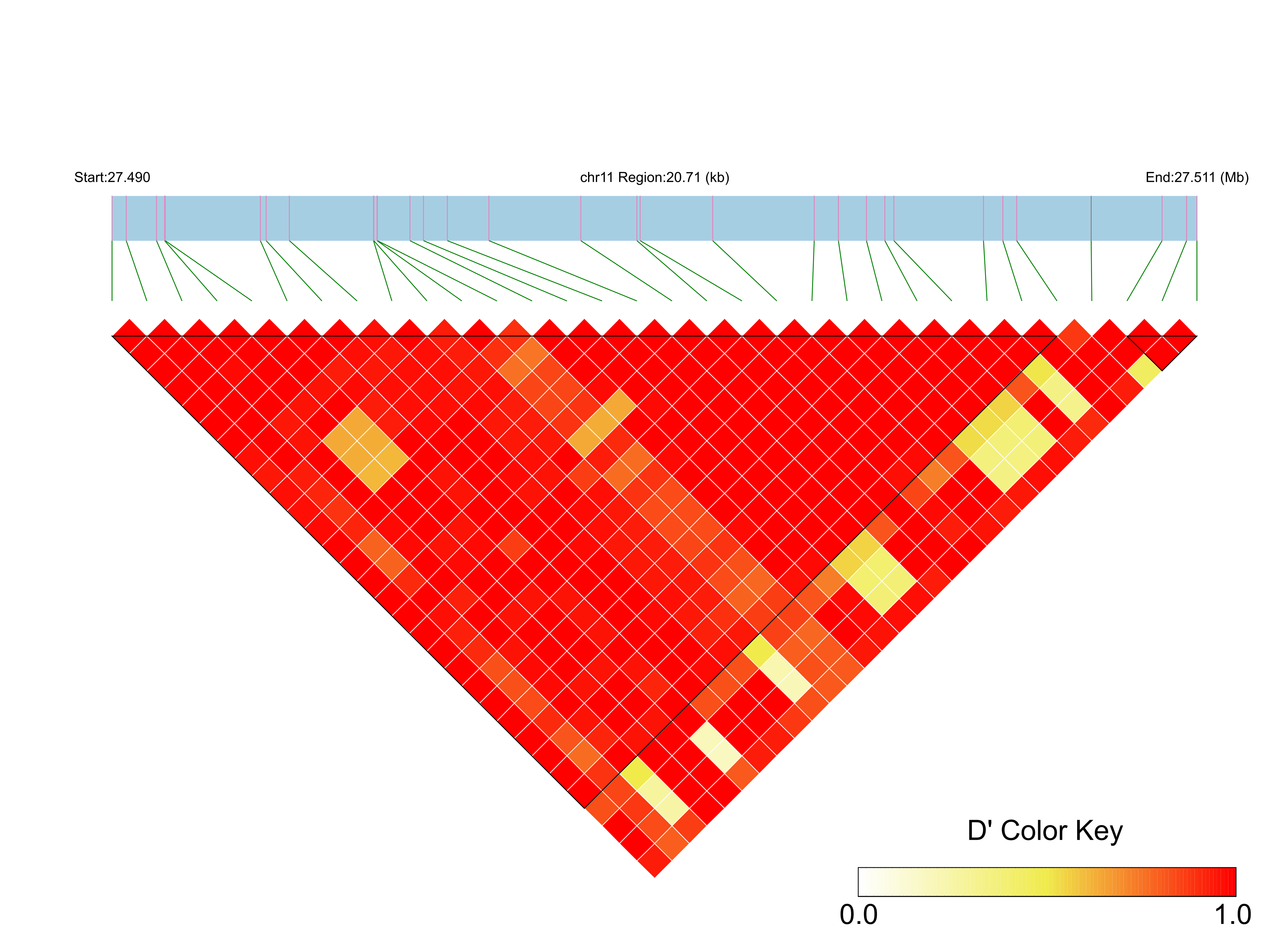 LD