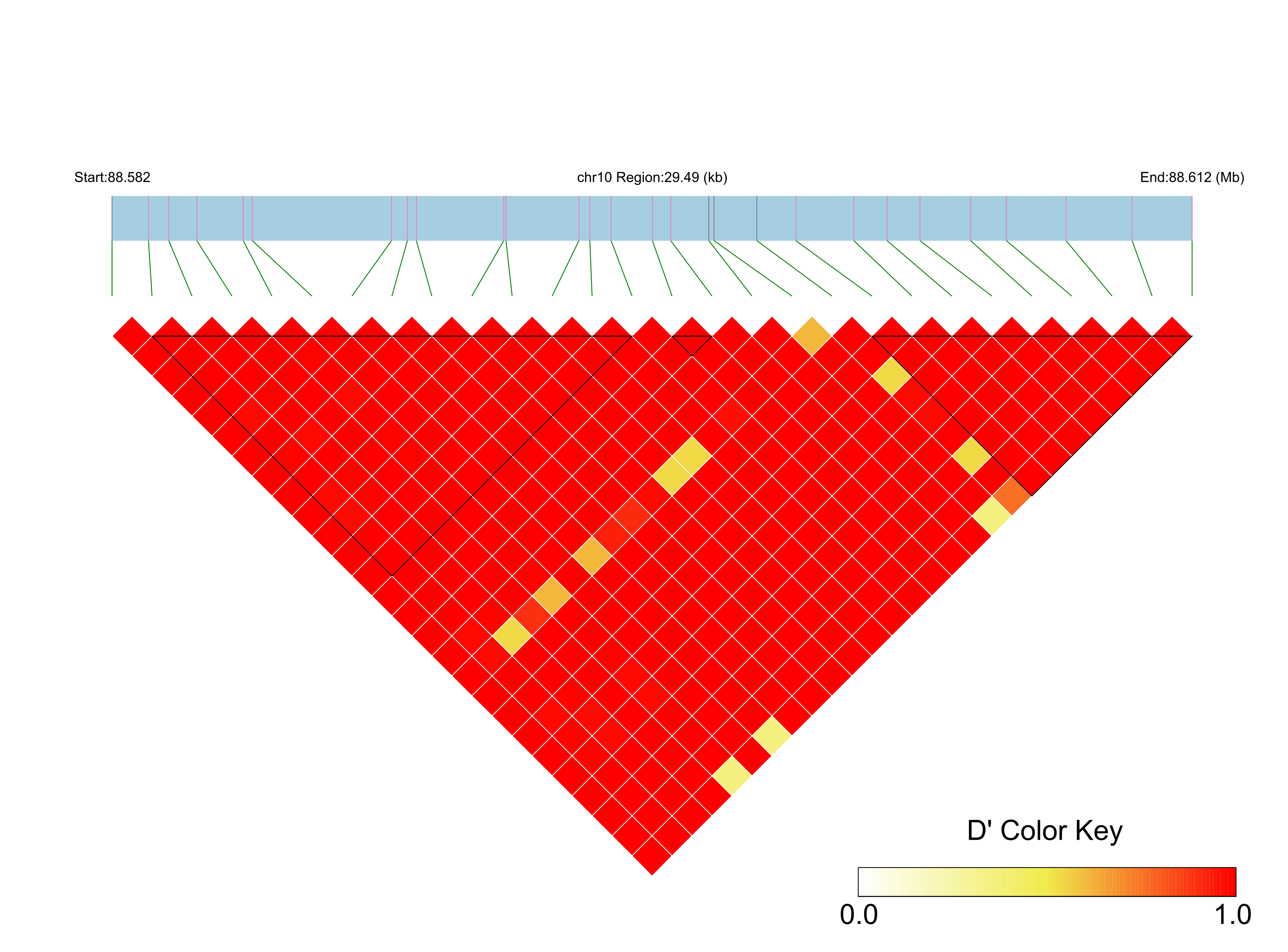 LD