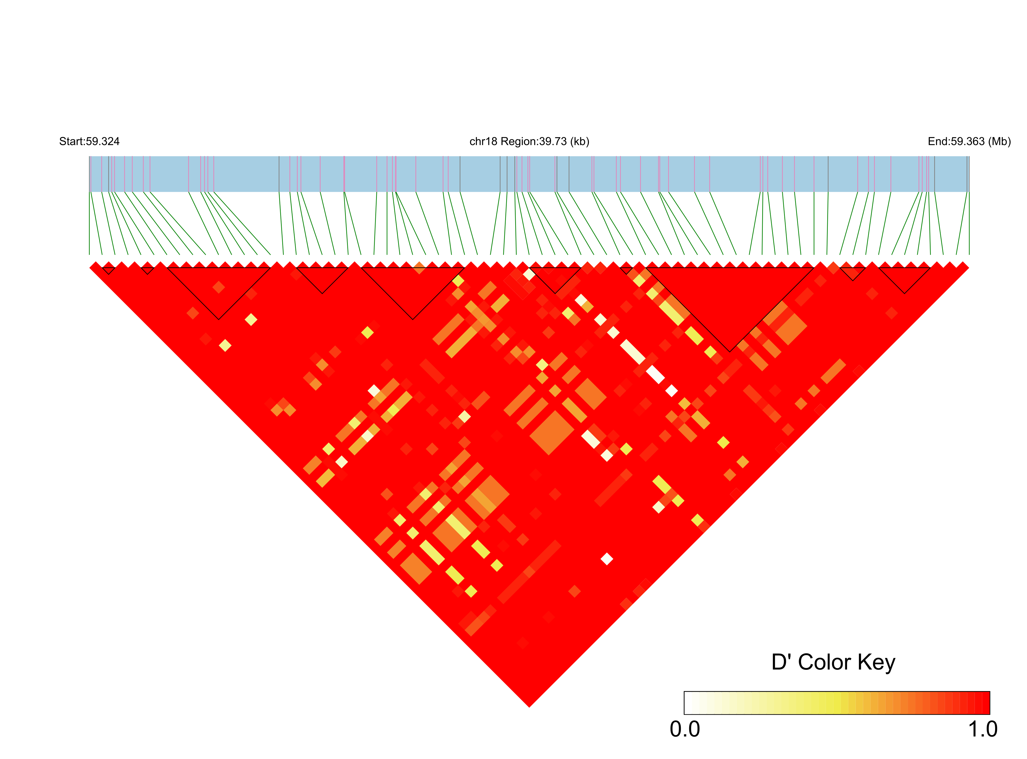LD