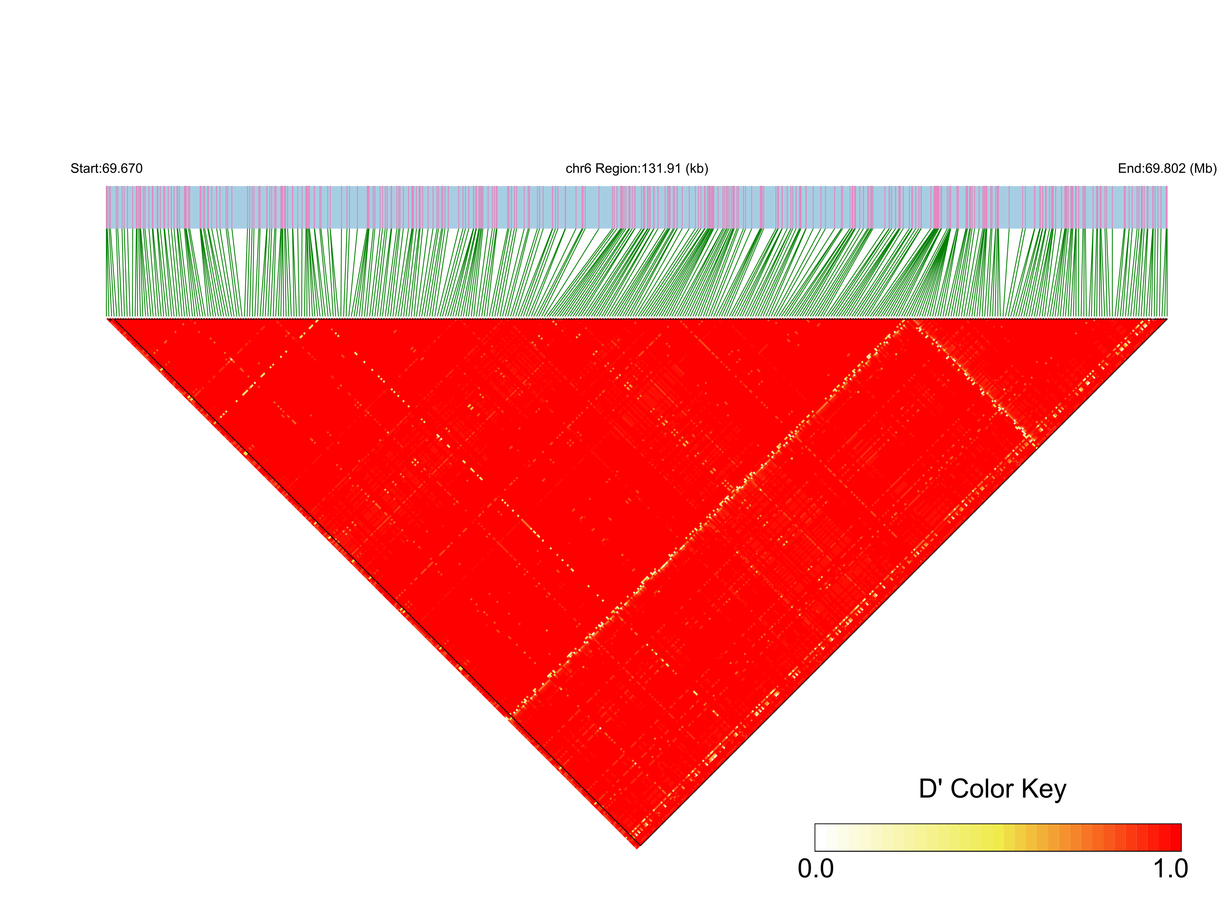 LD