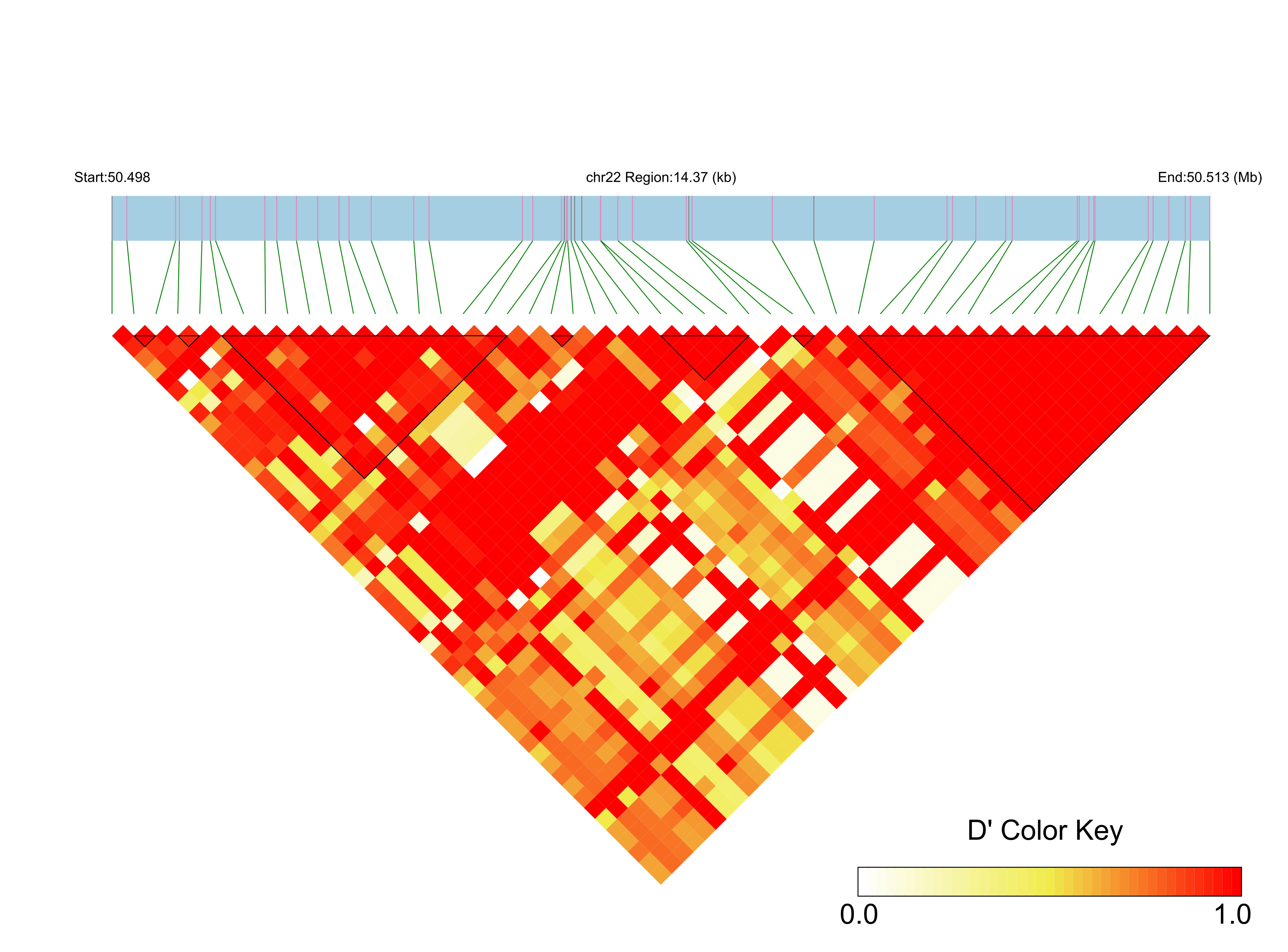 LD