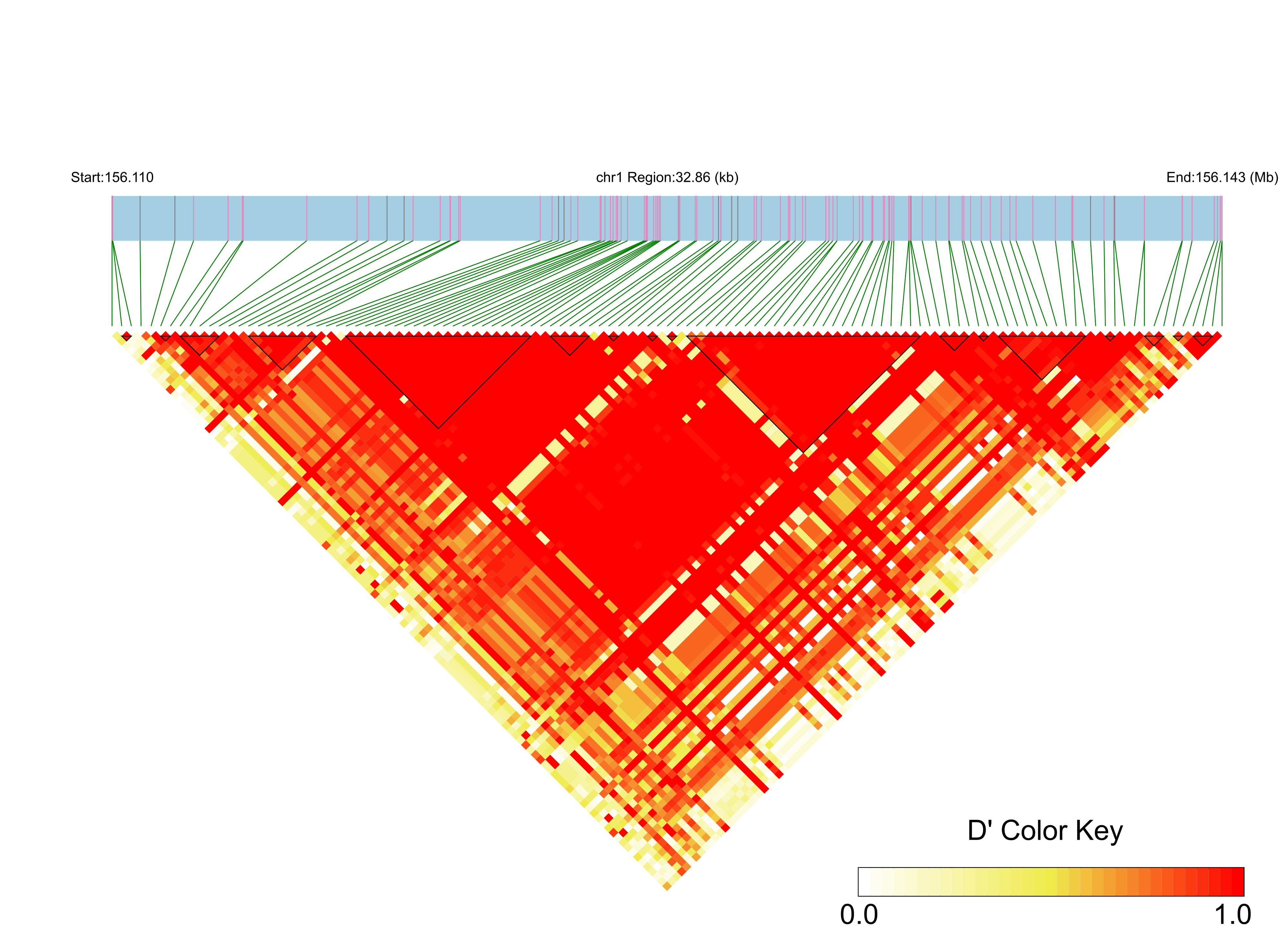LD