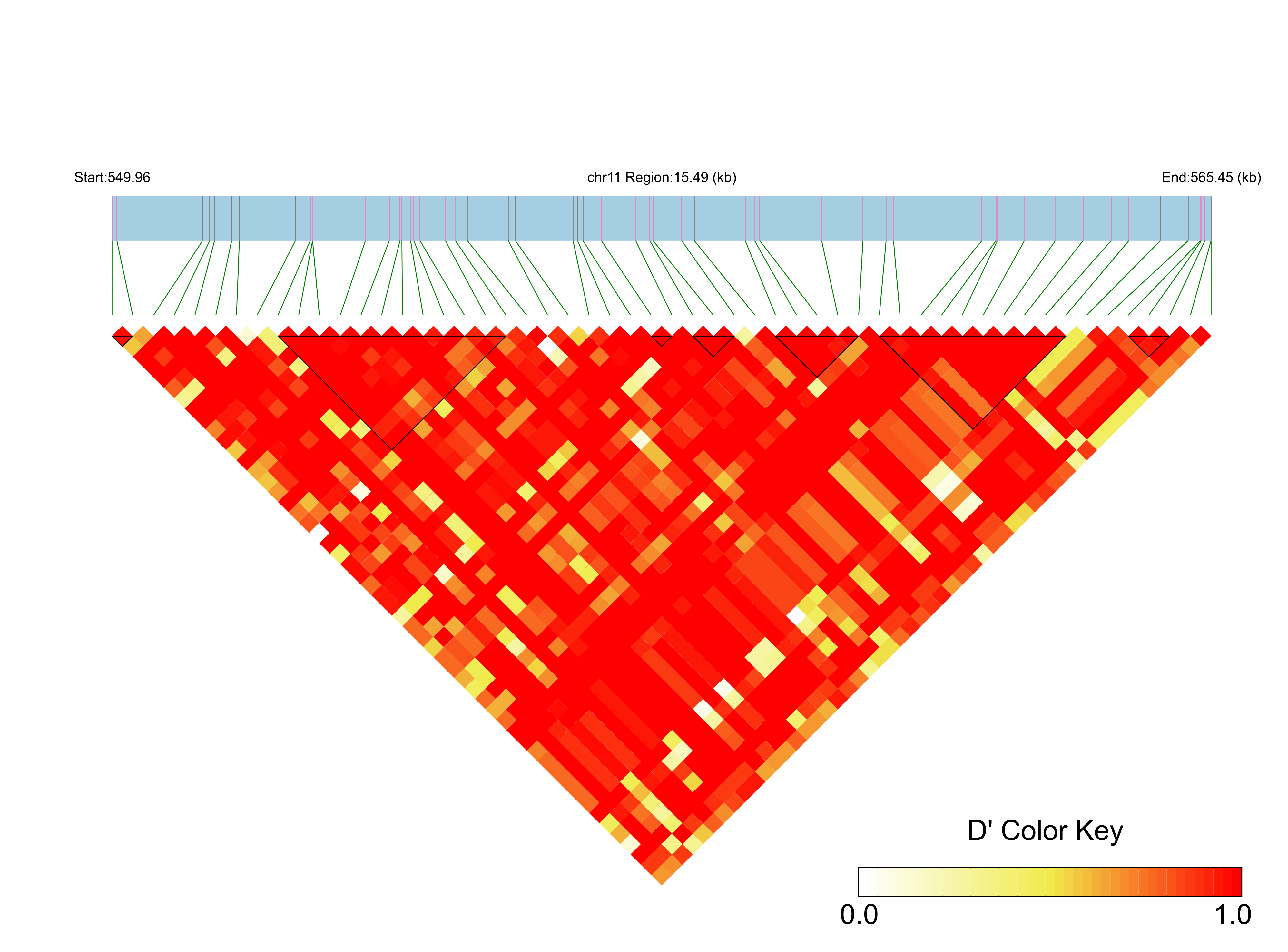 LD