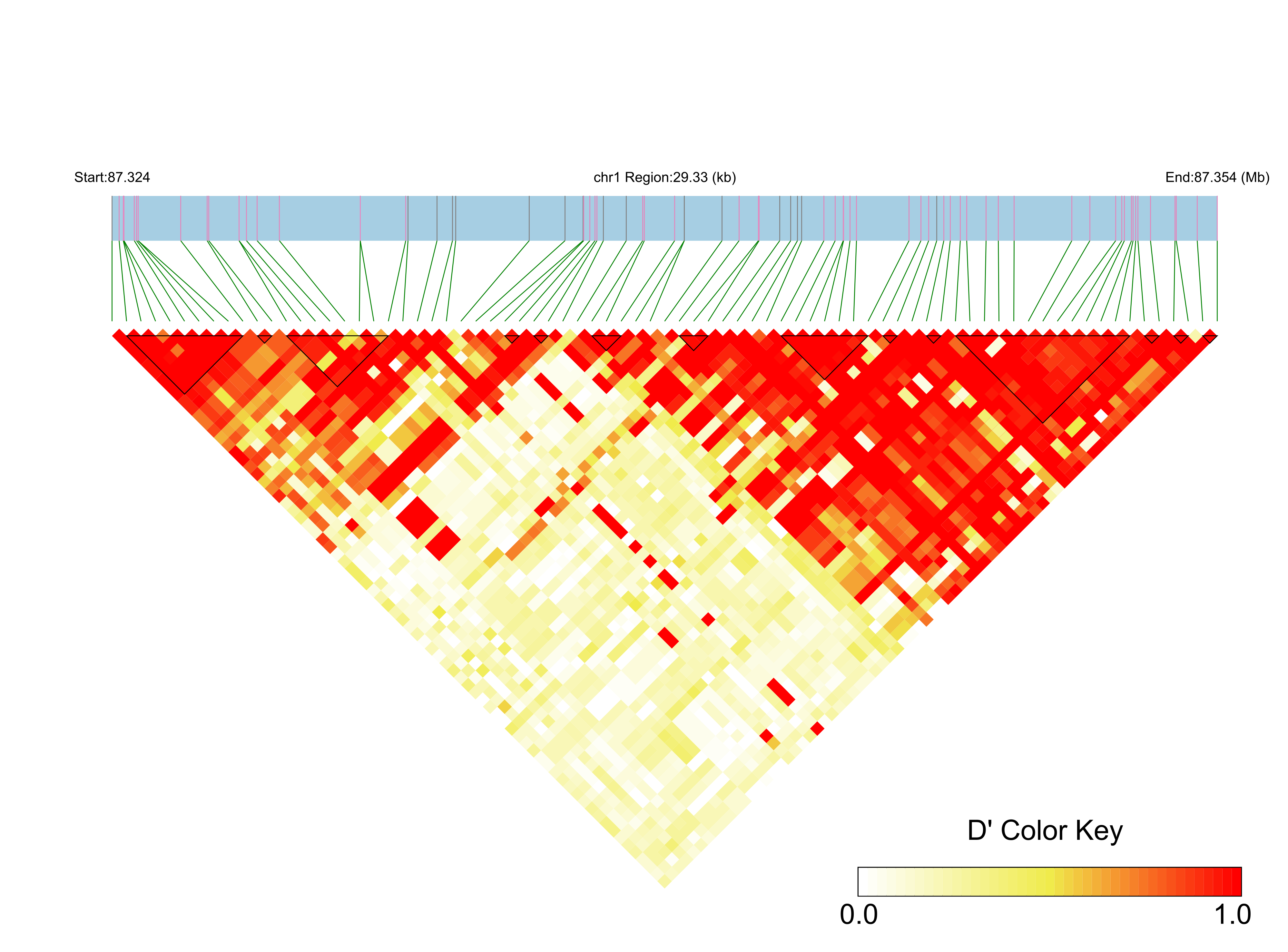 LD