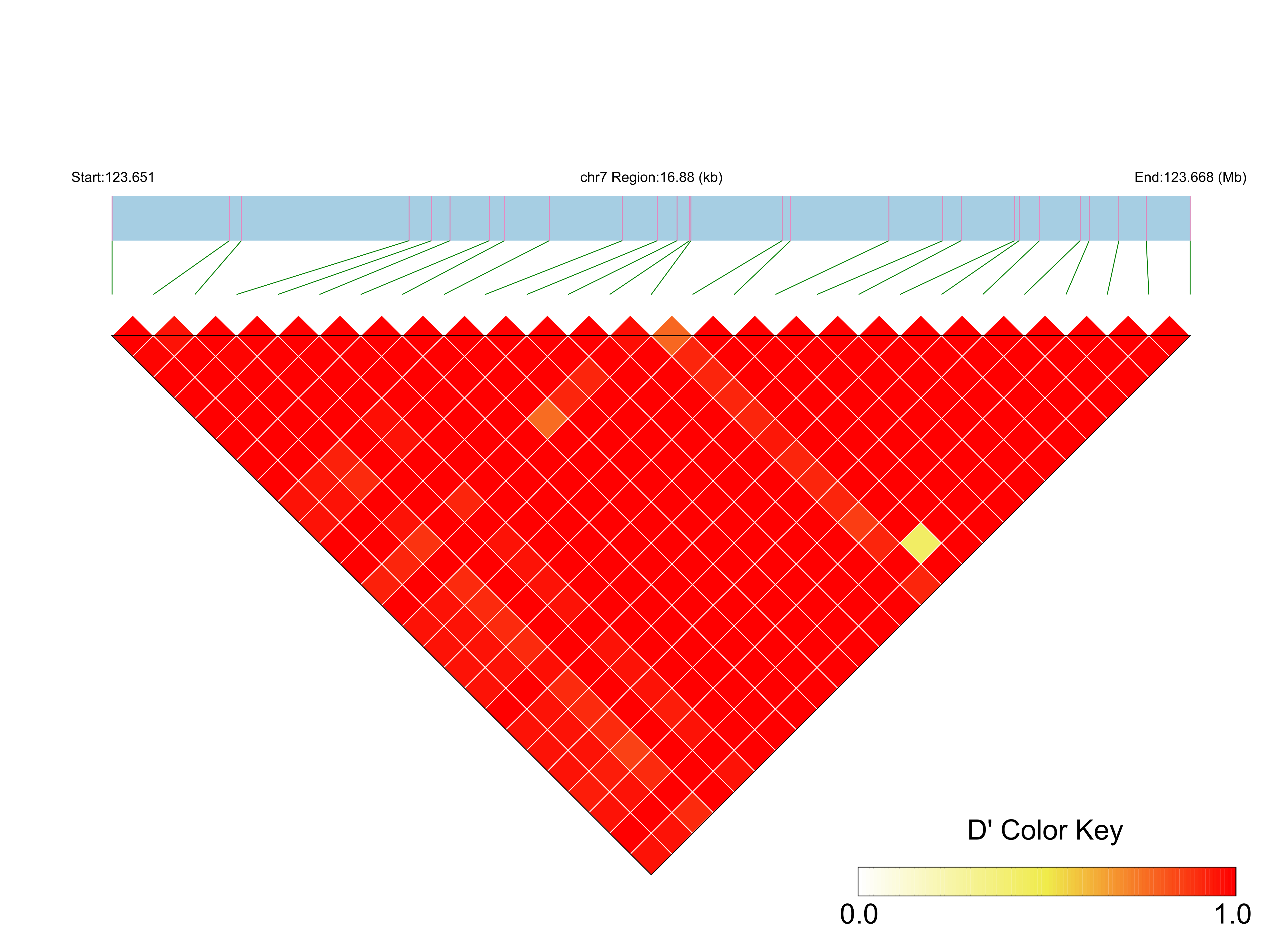 LD