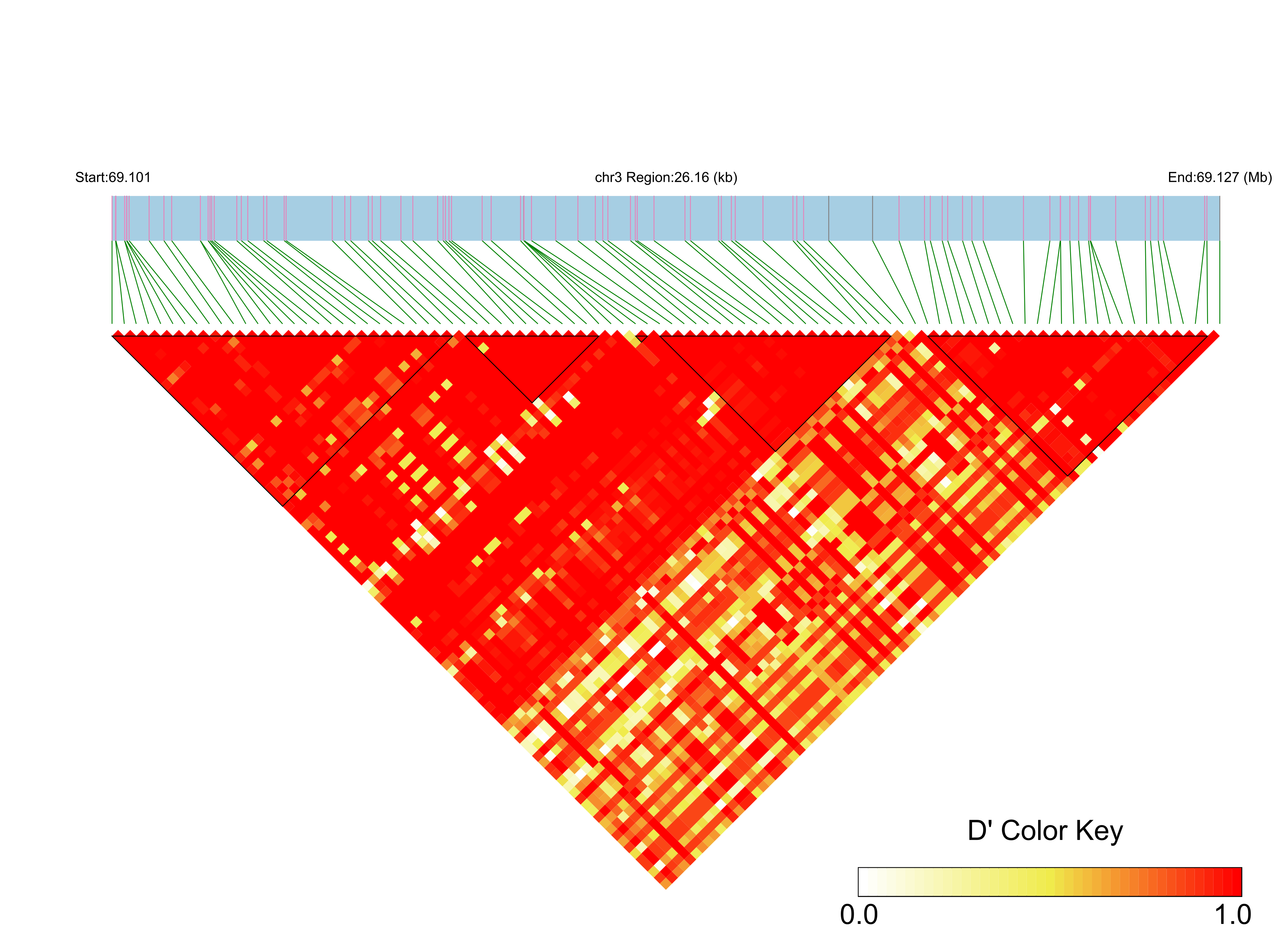 LD