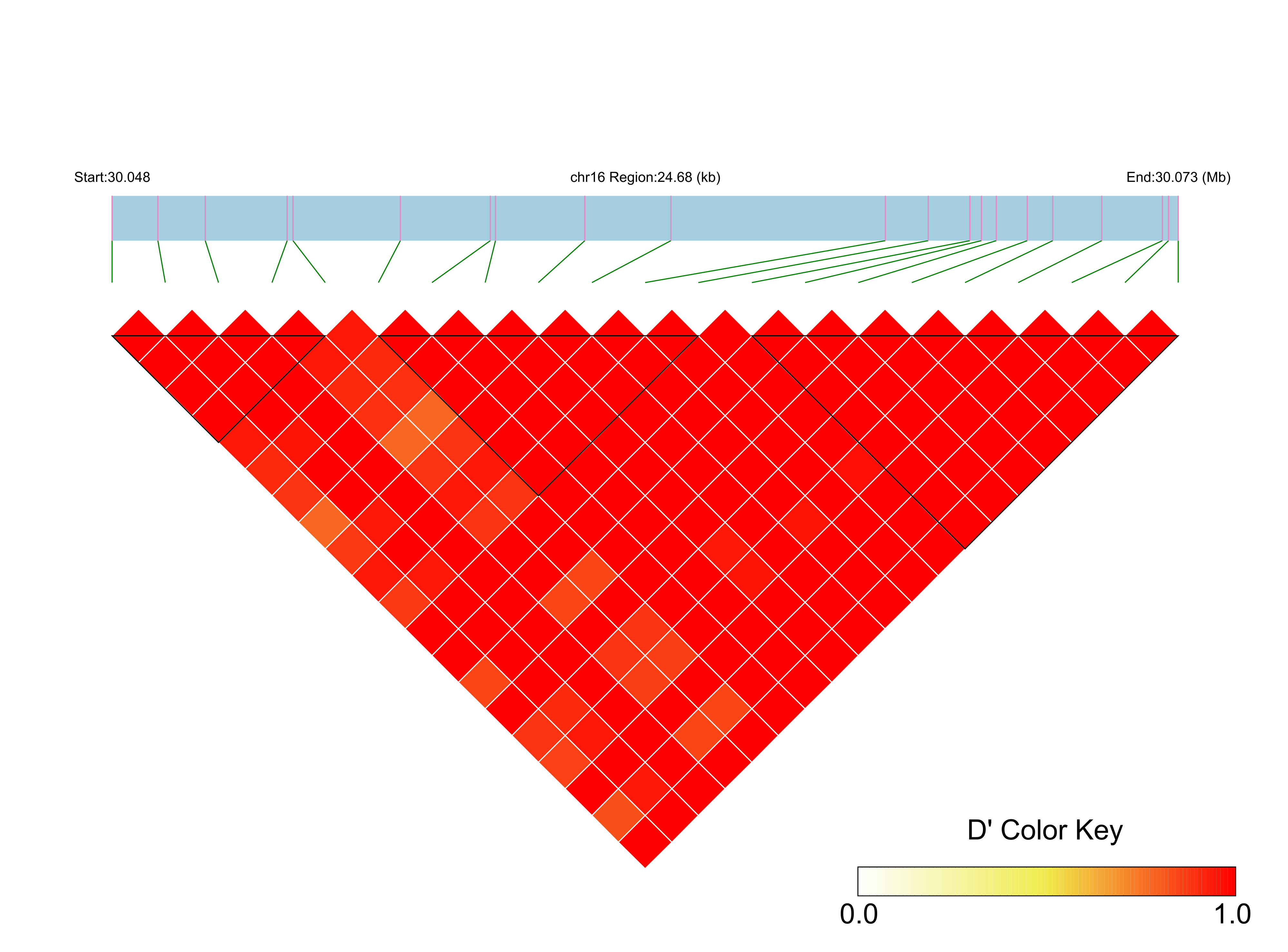 LD