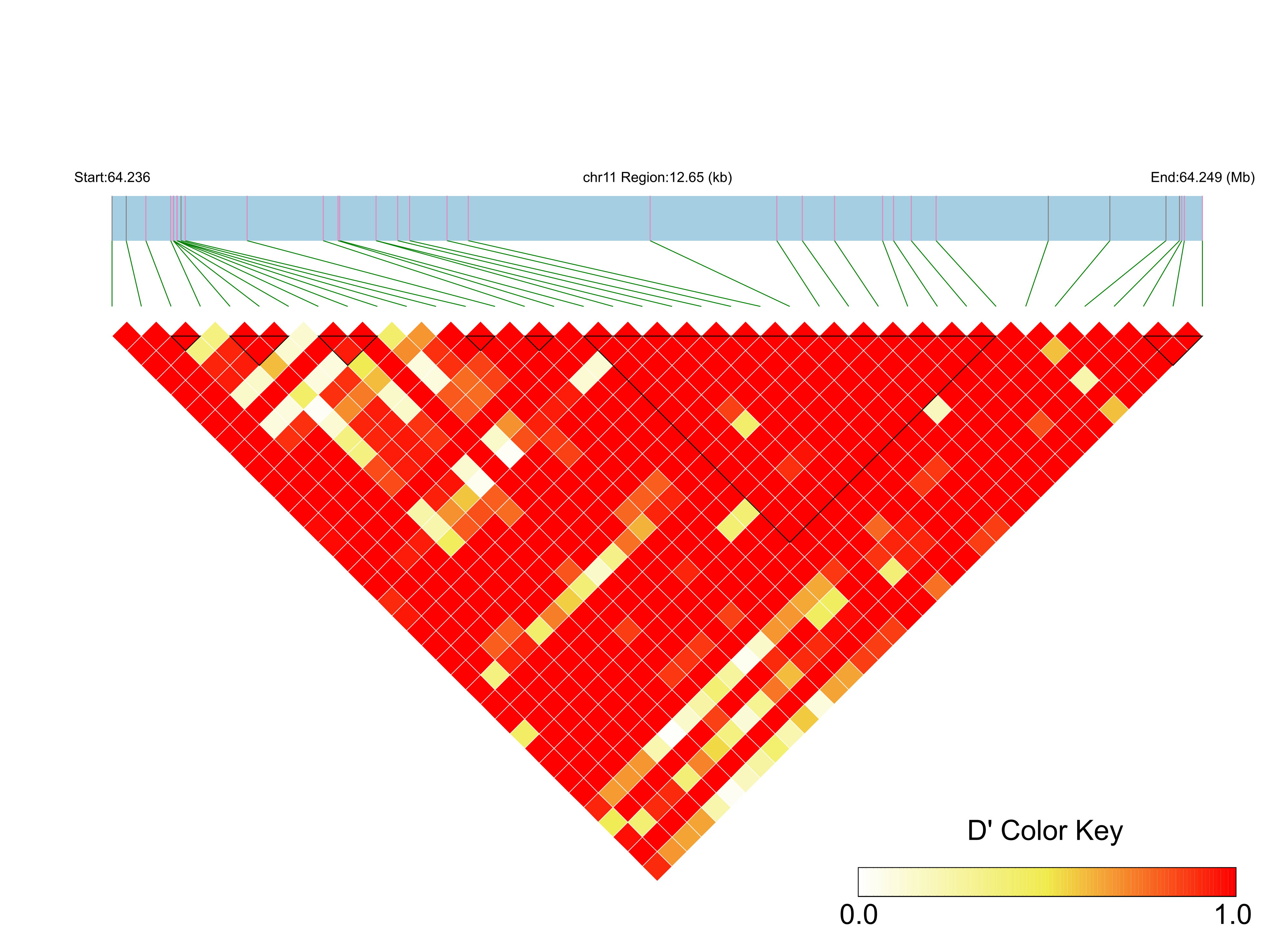 LD