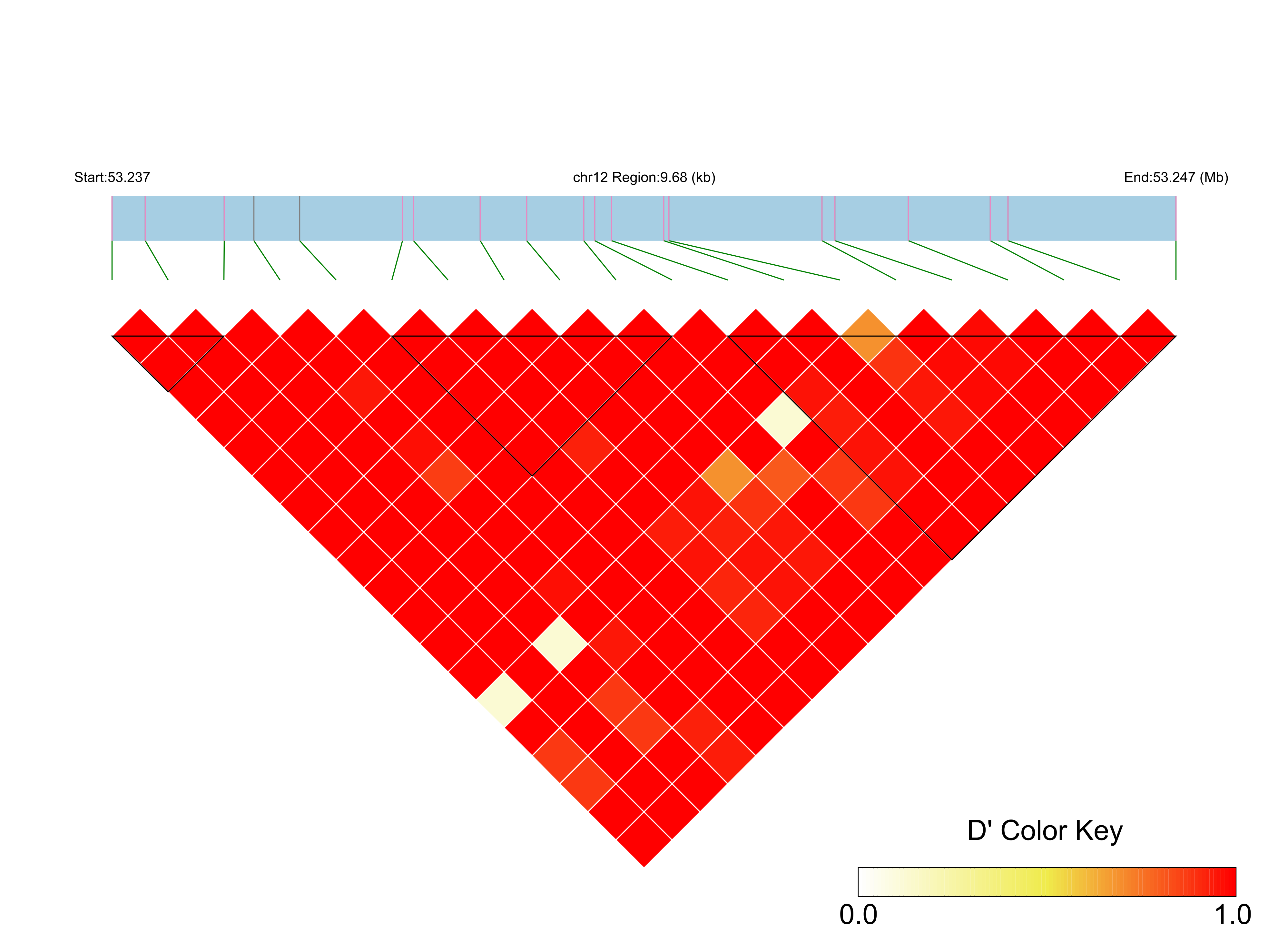 LD