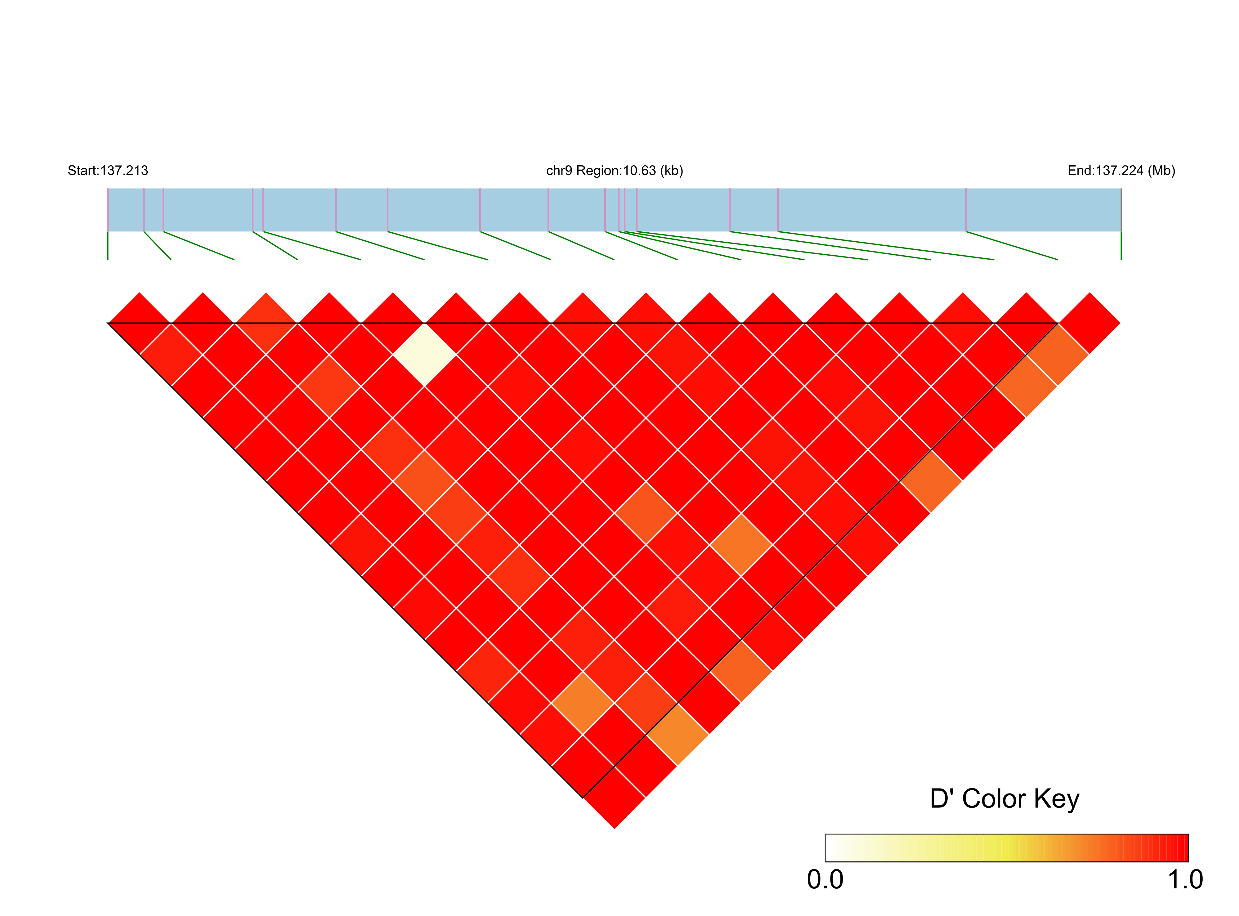 LD
