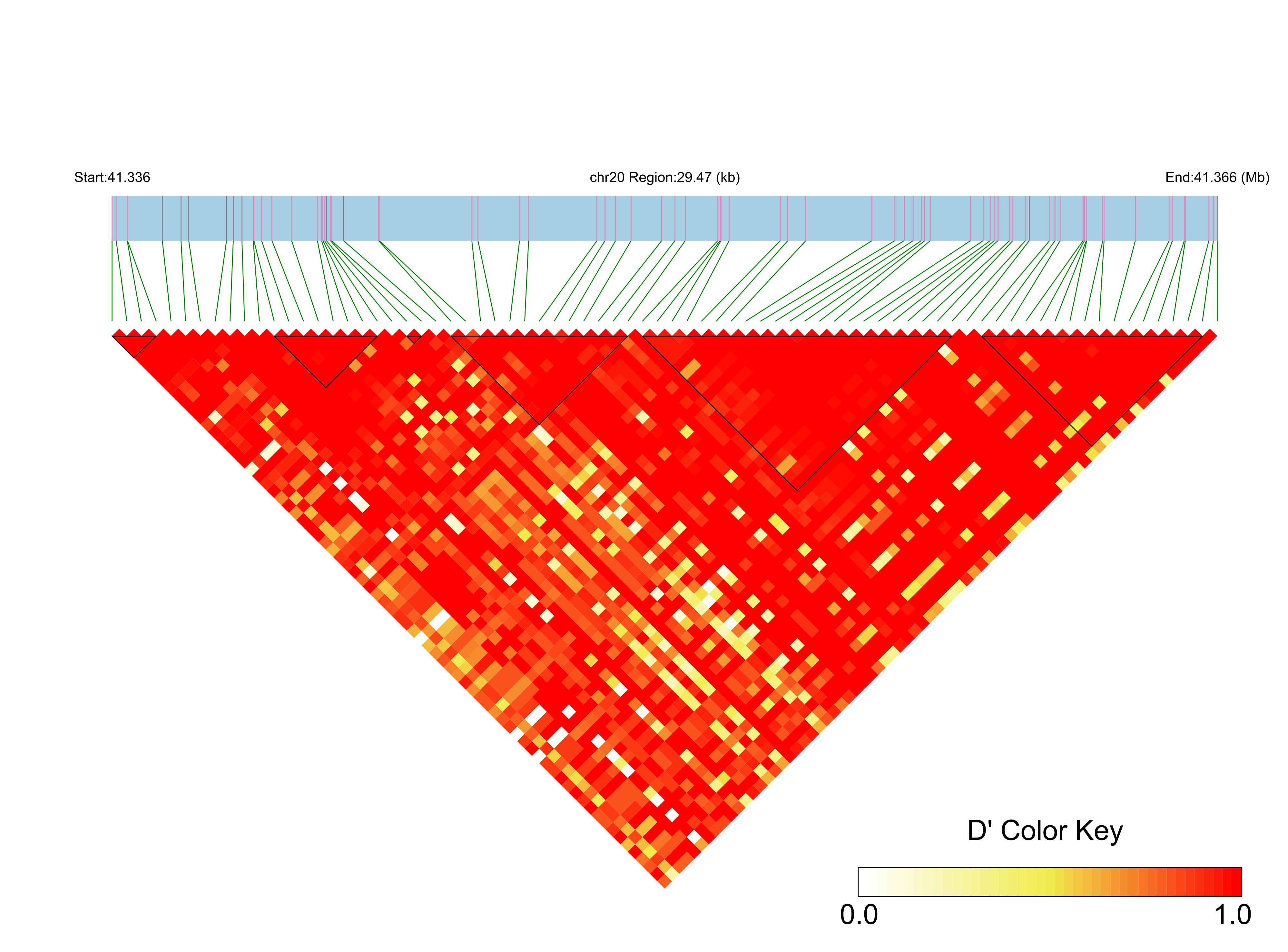 LD