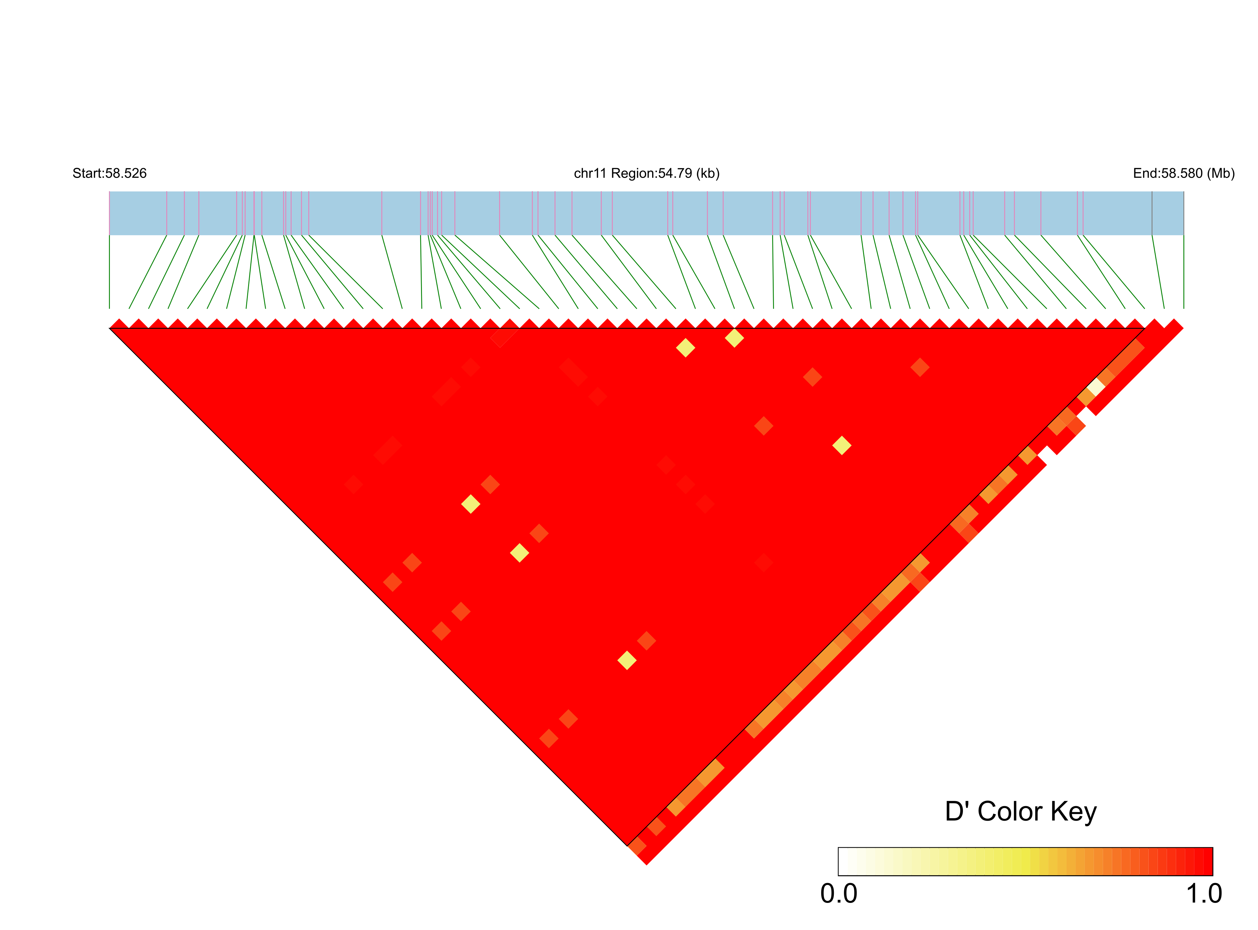 LD