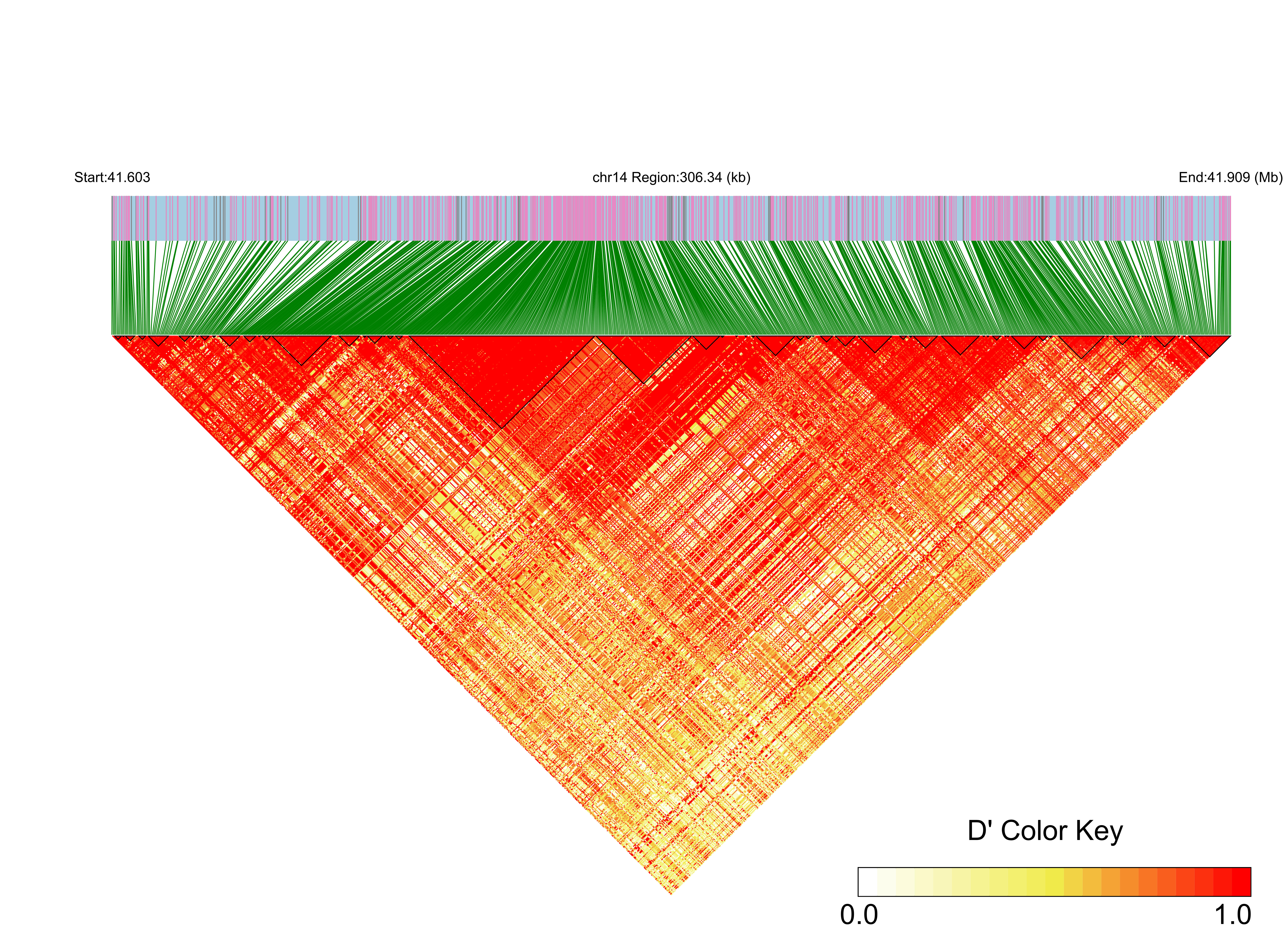 LD