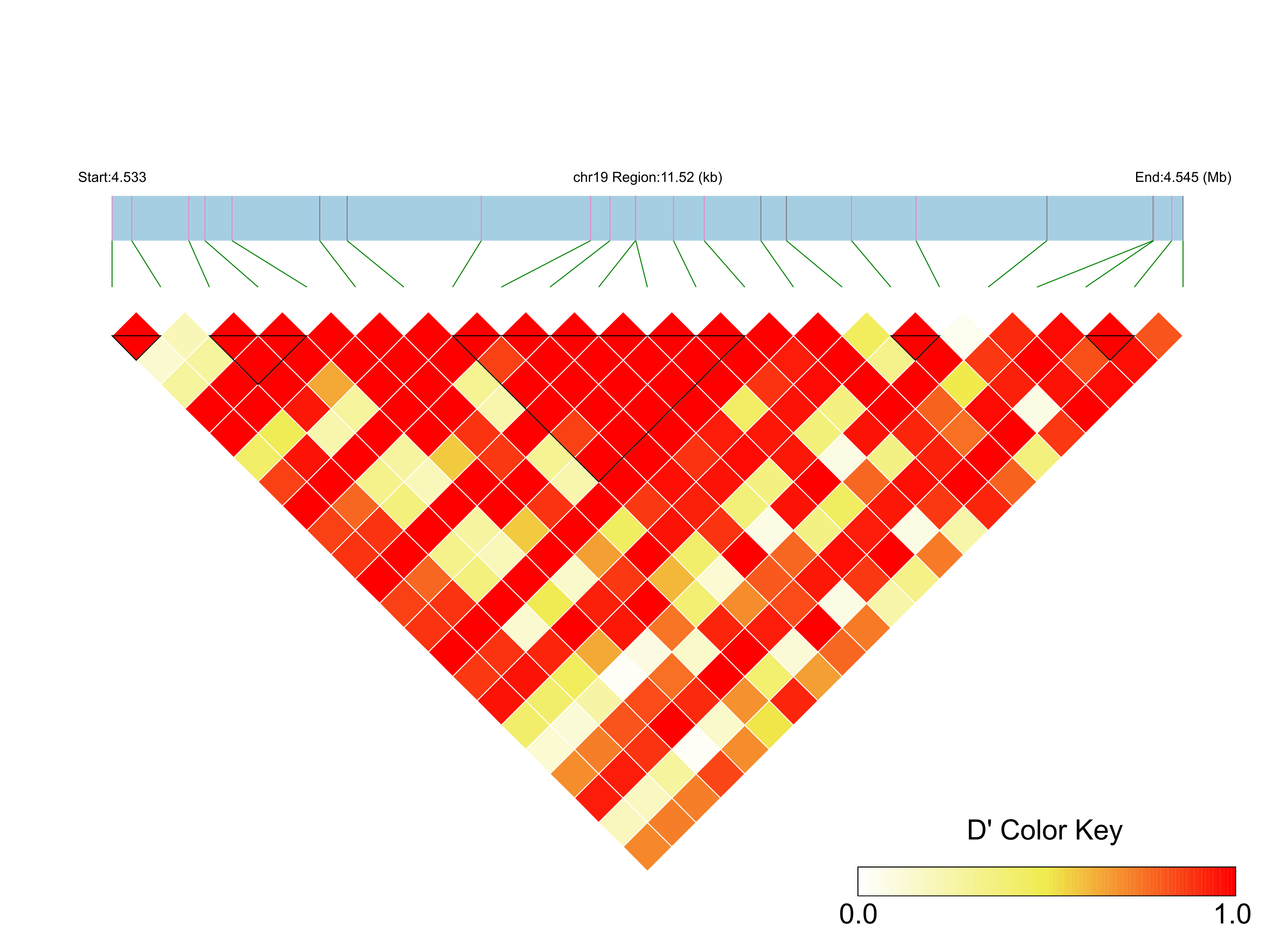 LD
