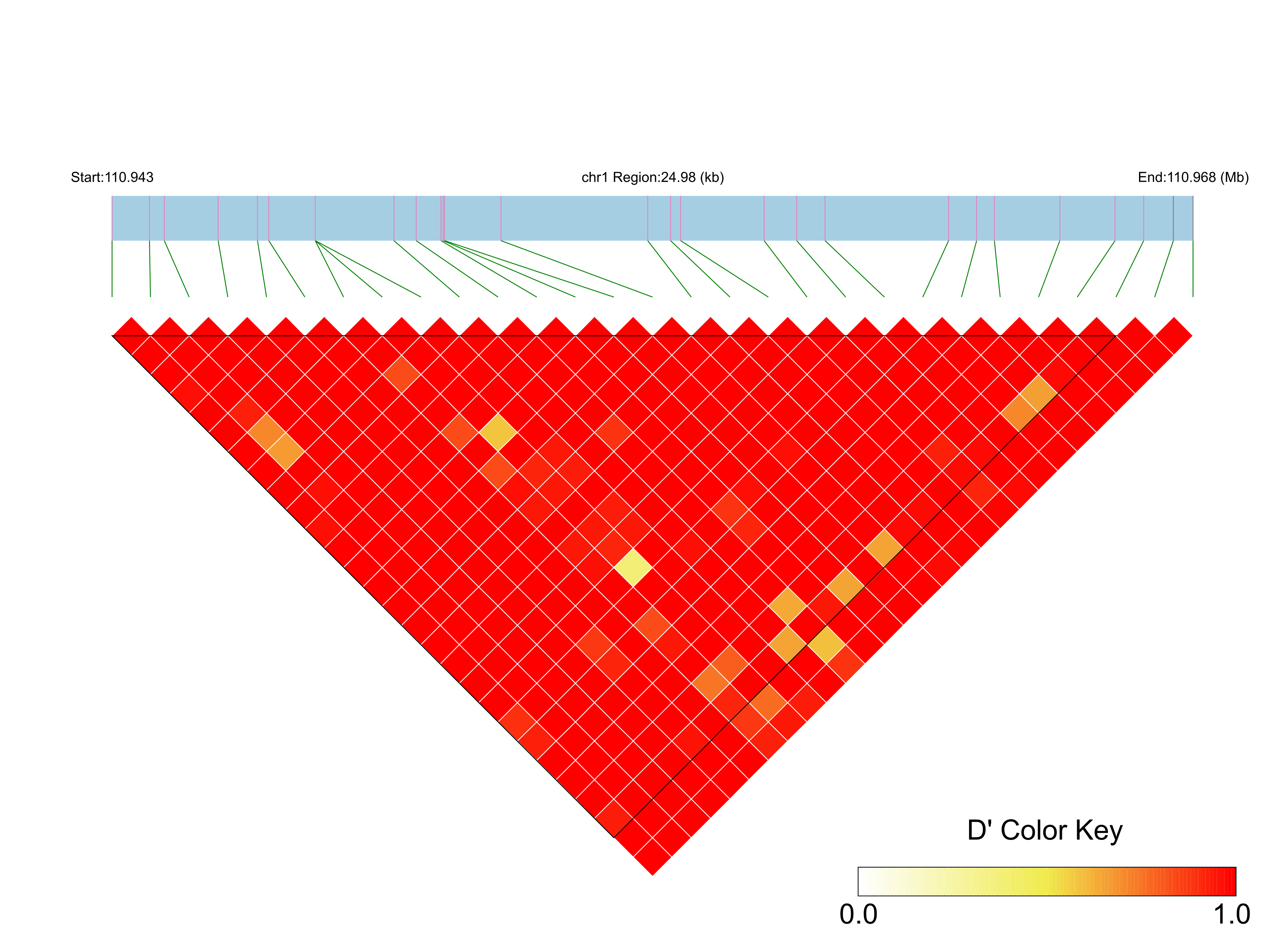 LD