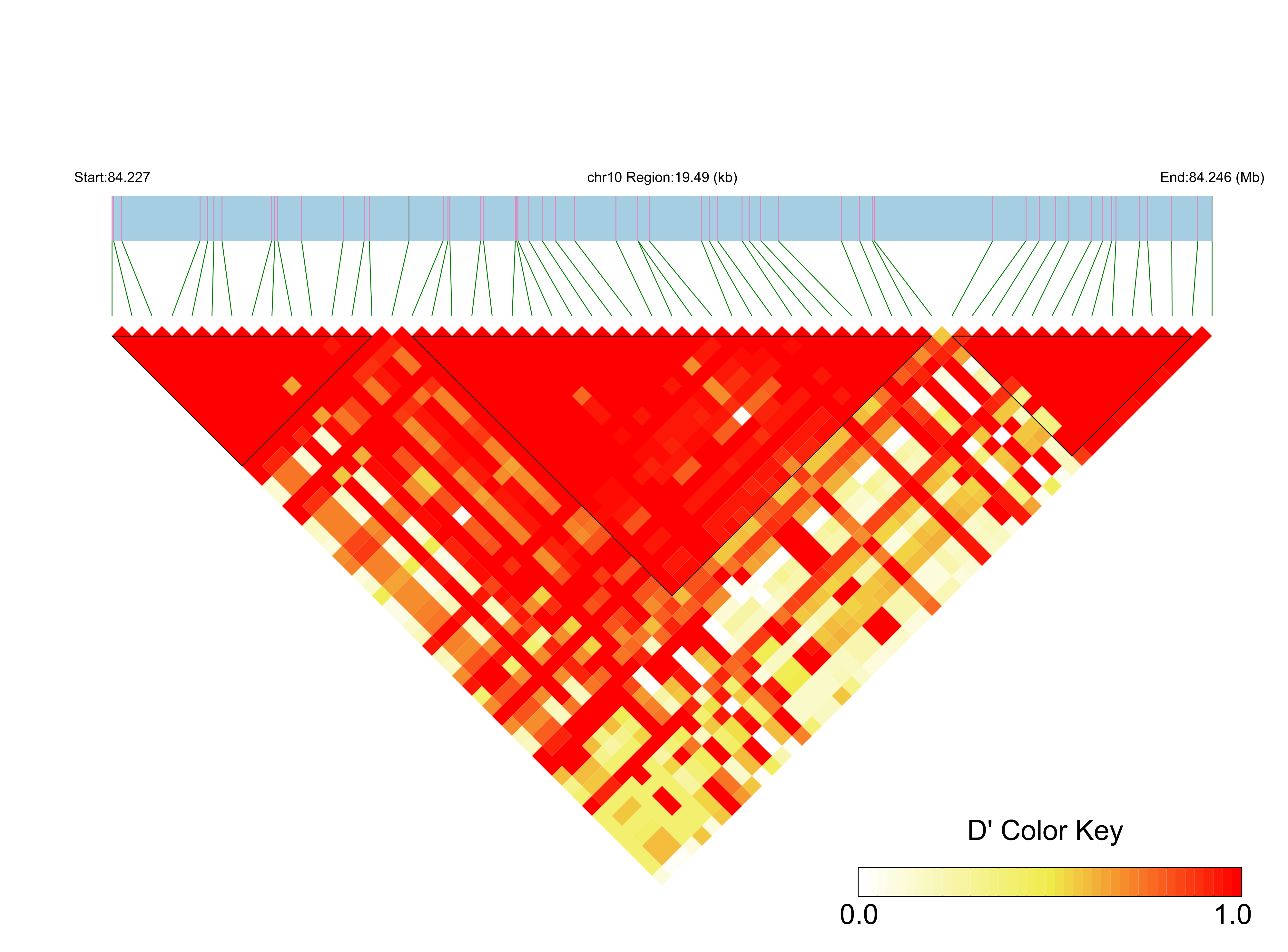 LD