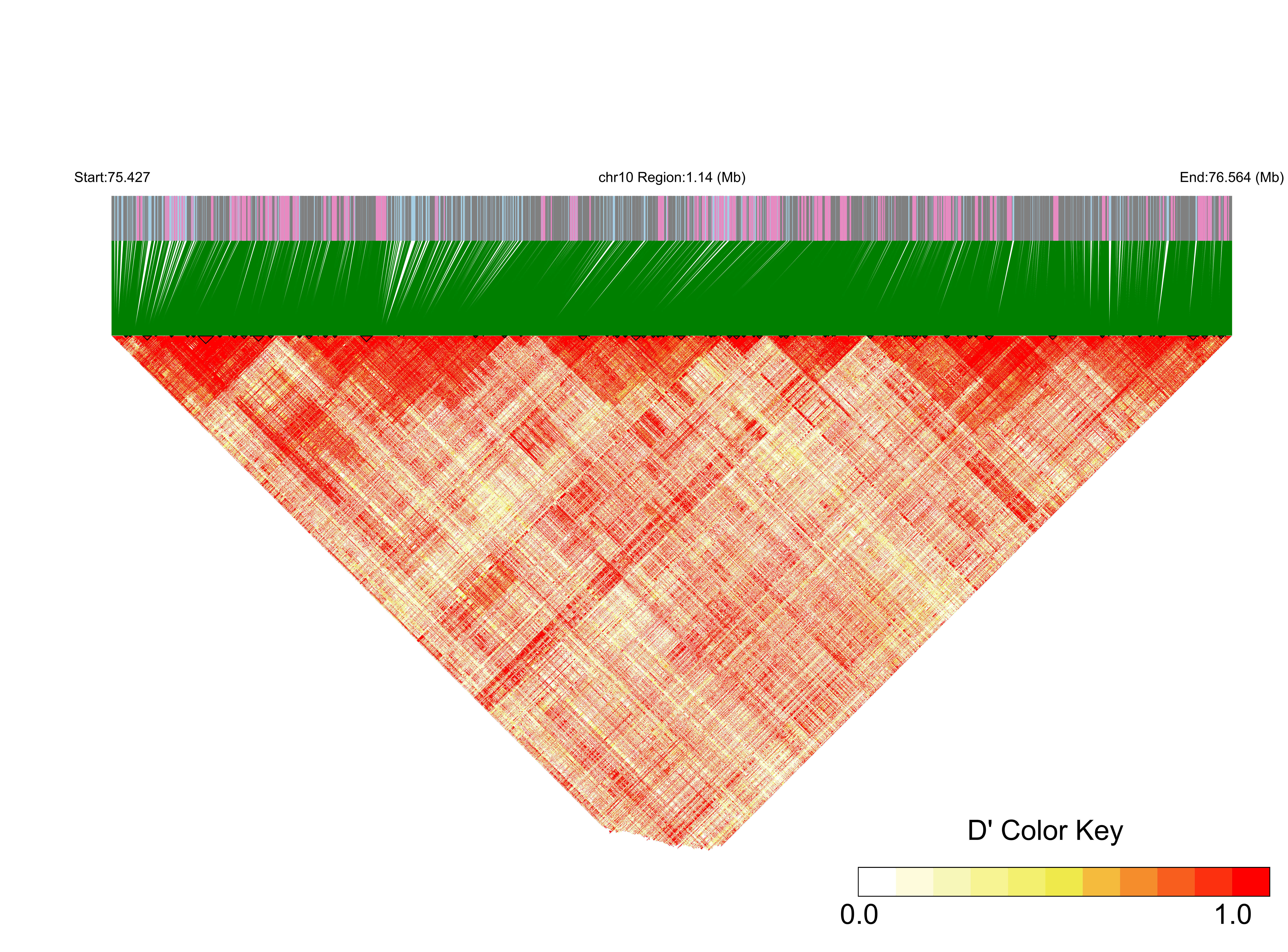 LD