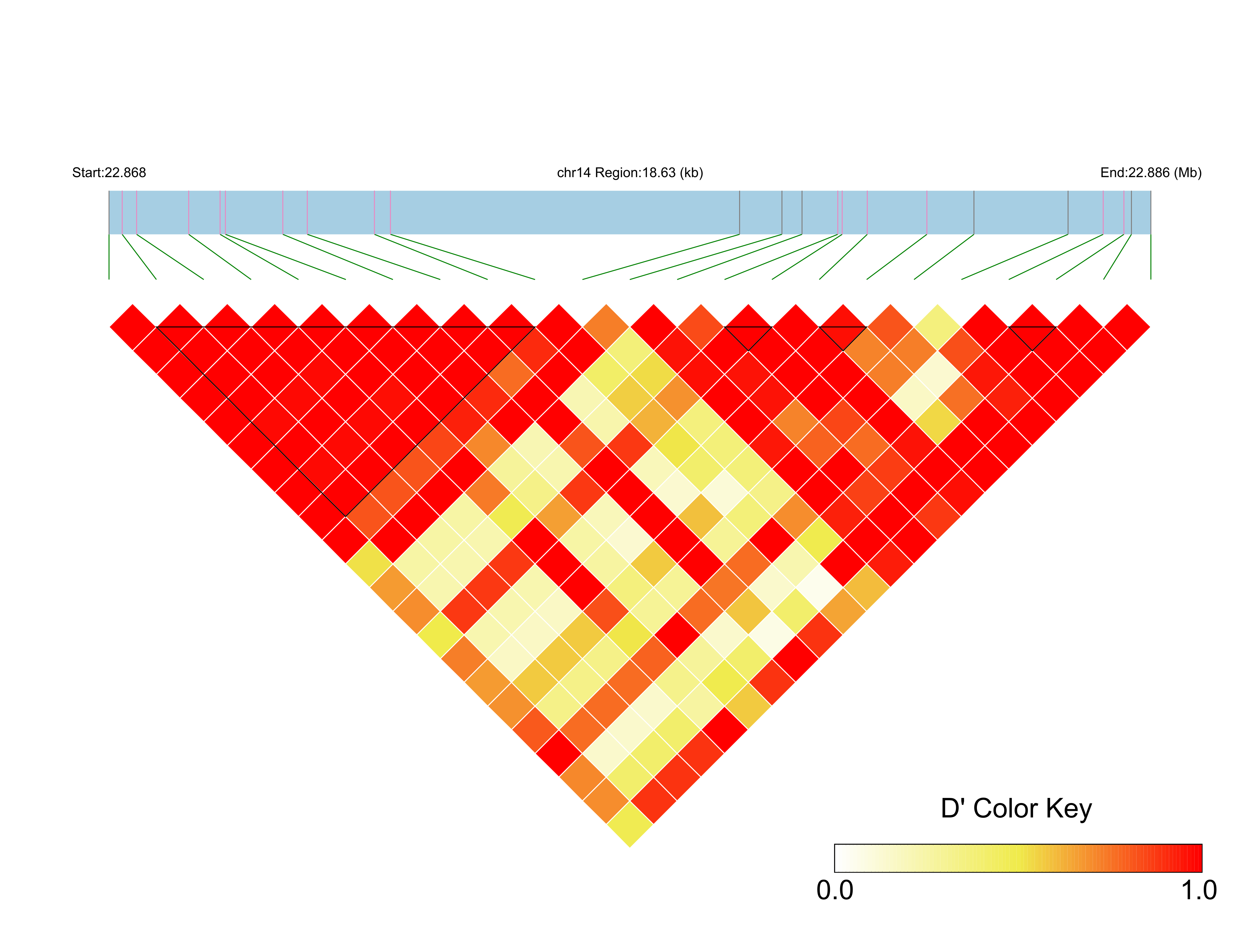 LD