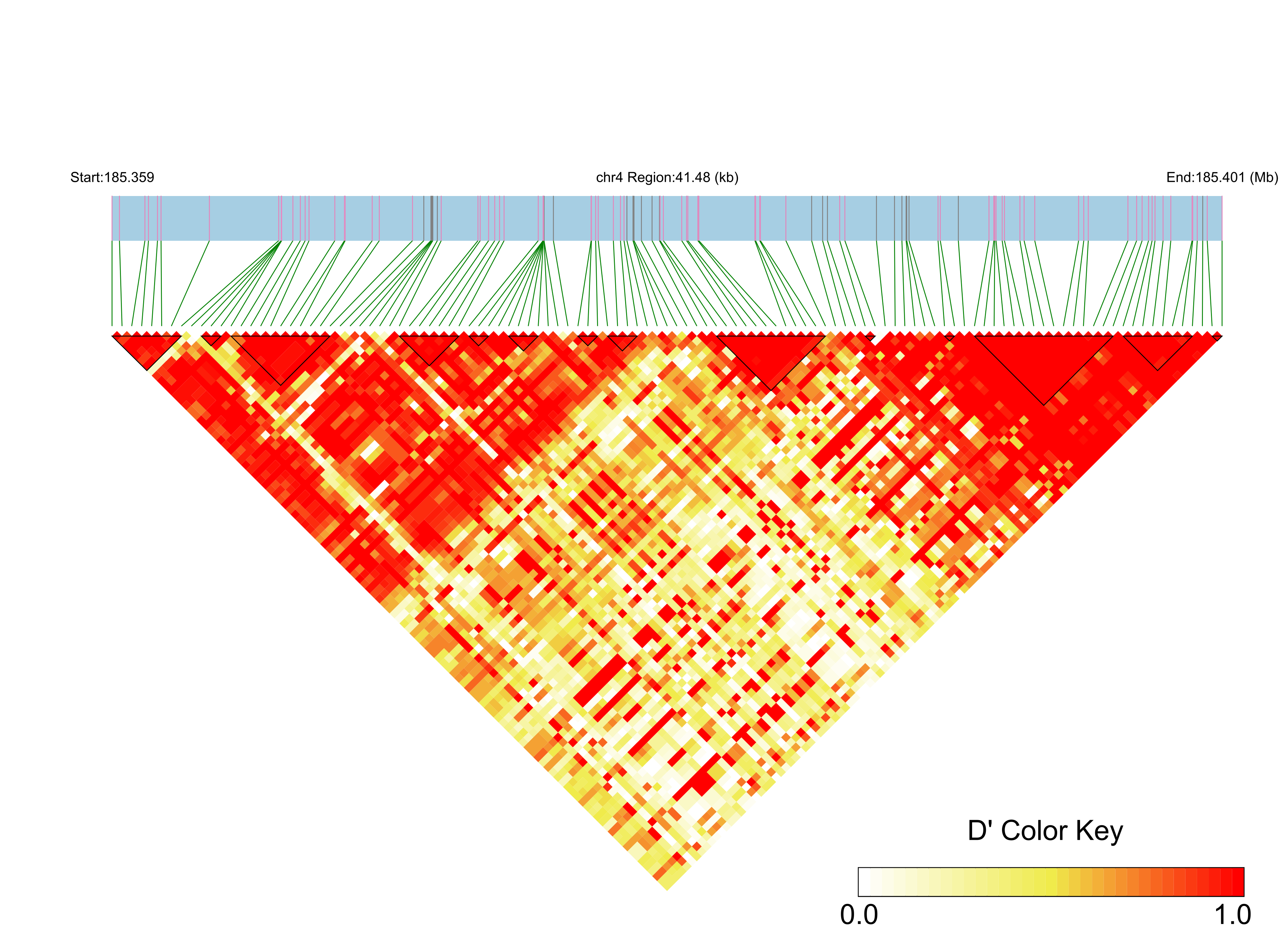 LD