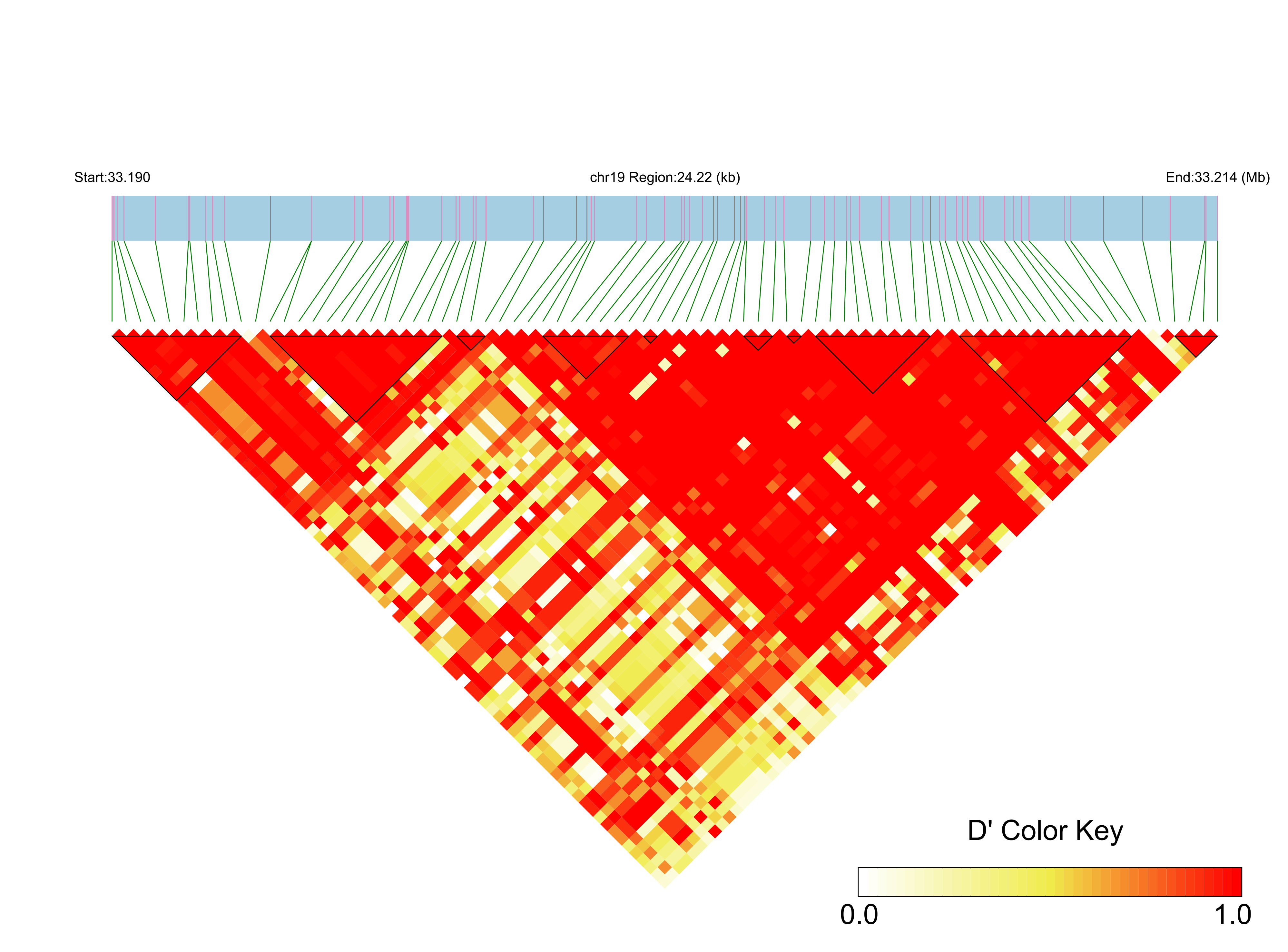 LD