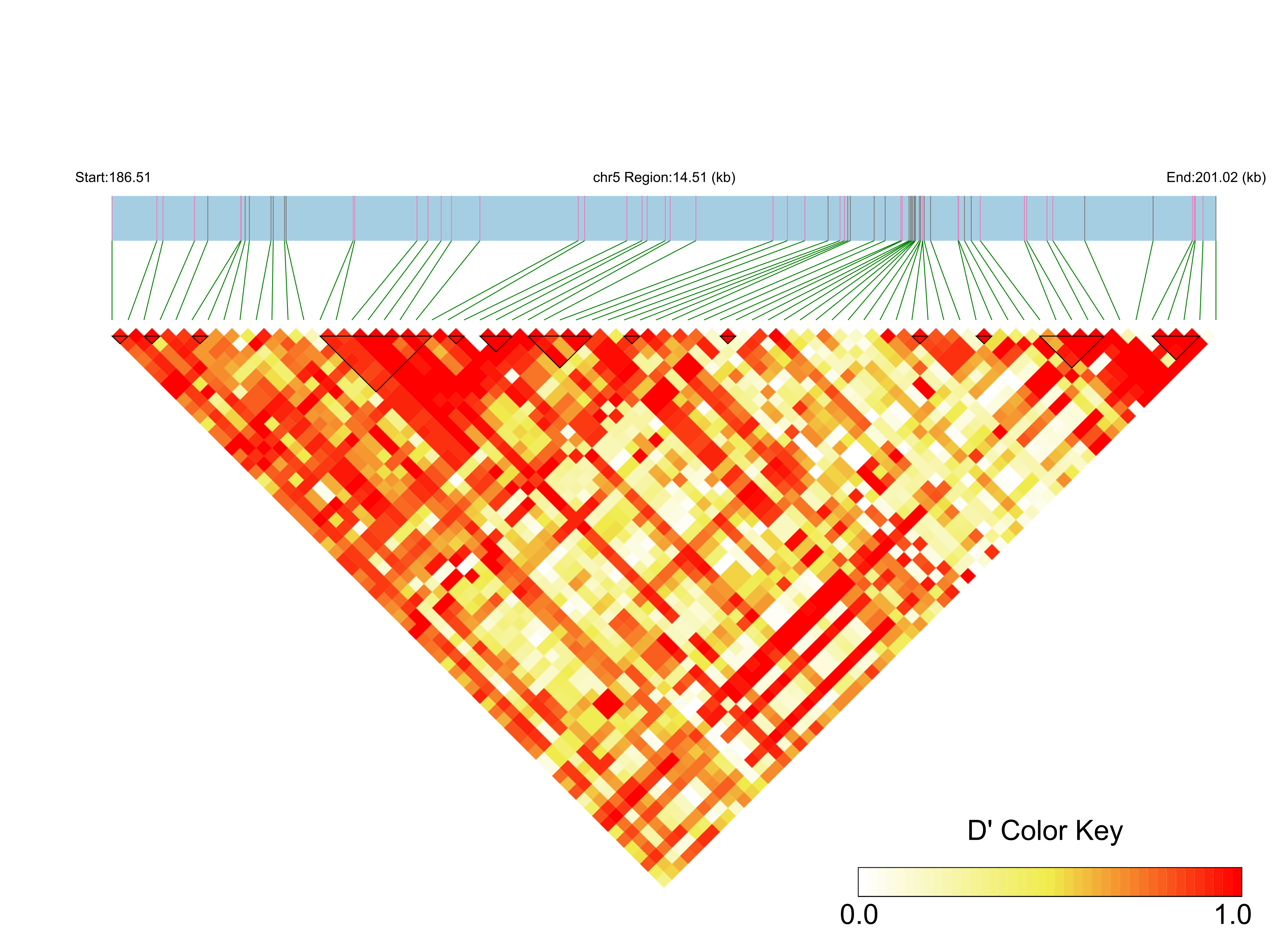 LD