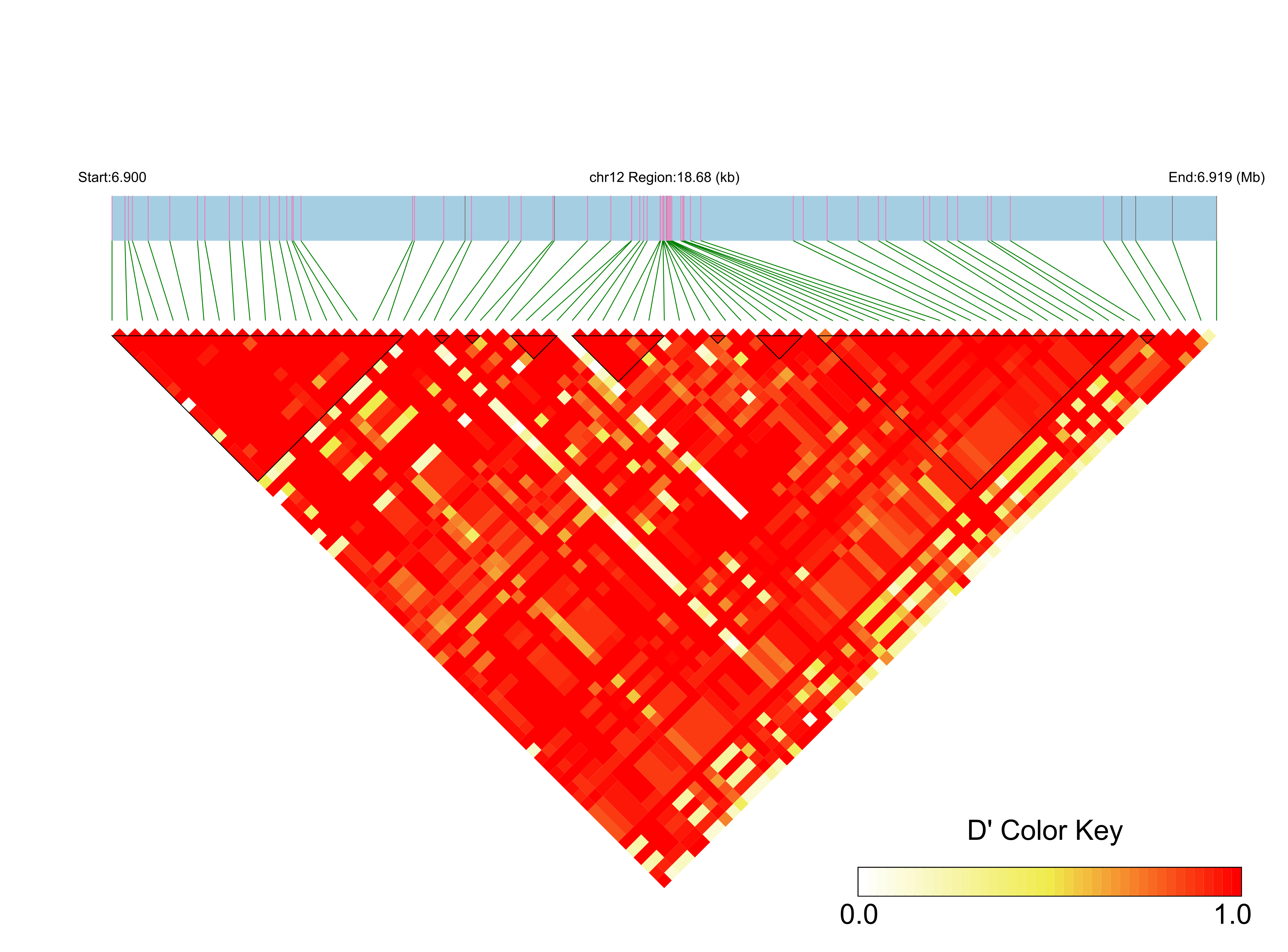 LD