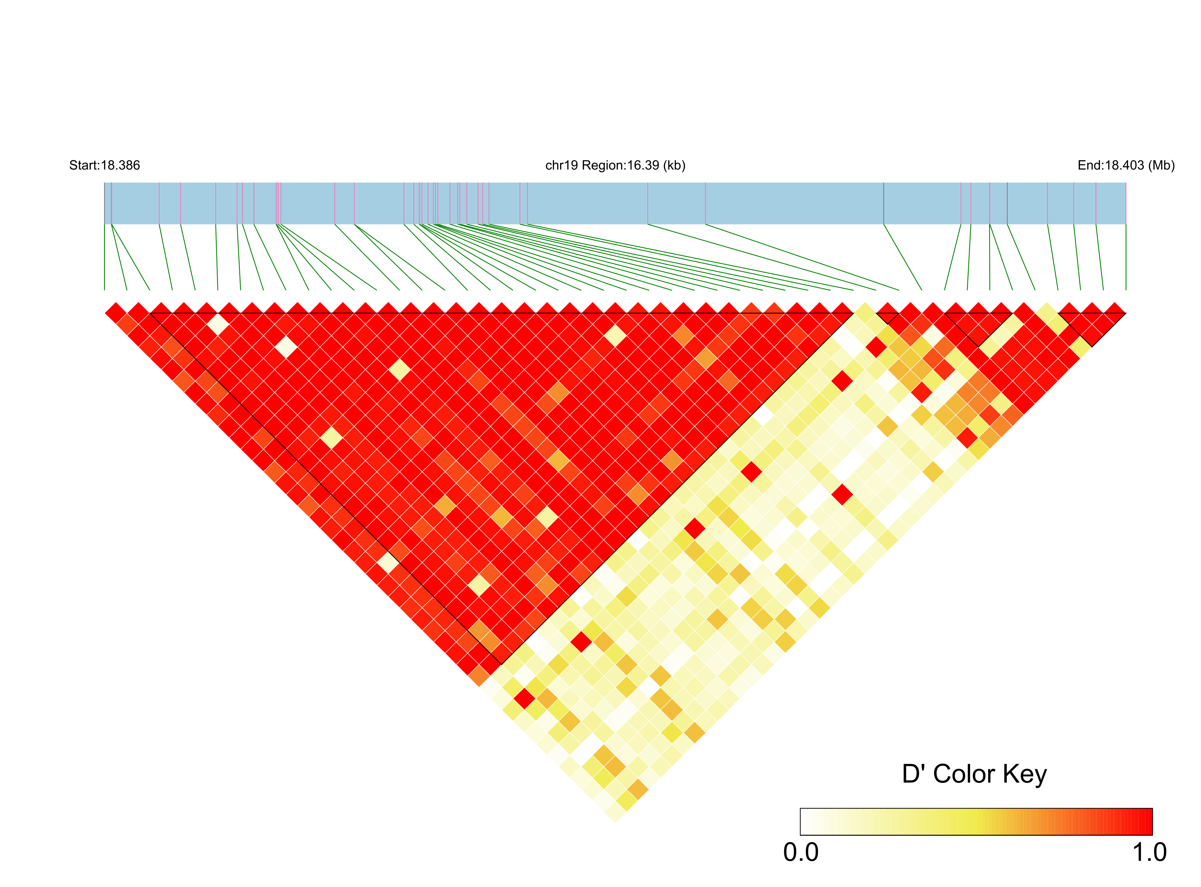 LD