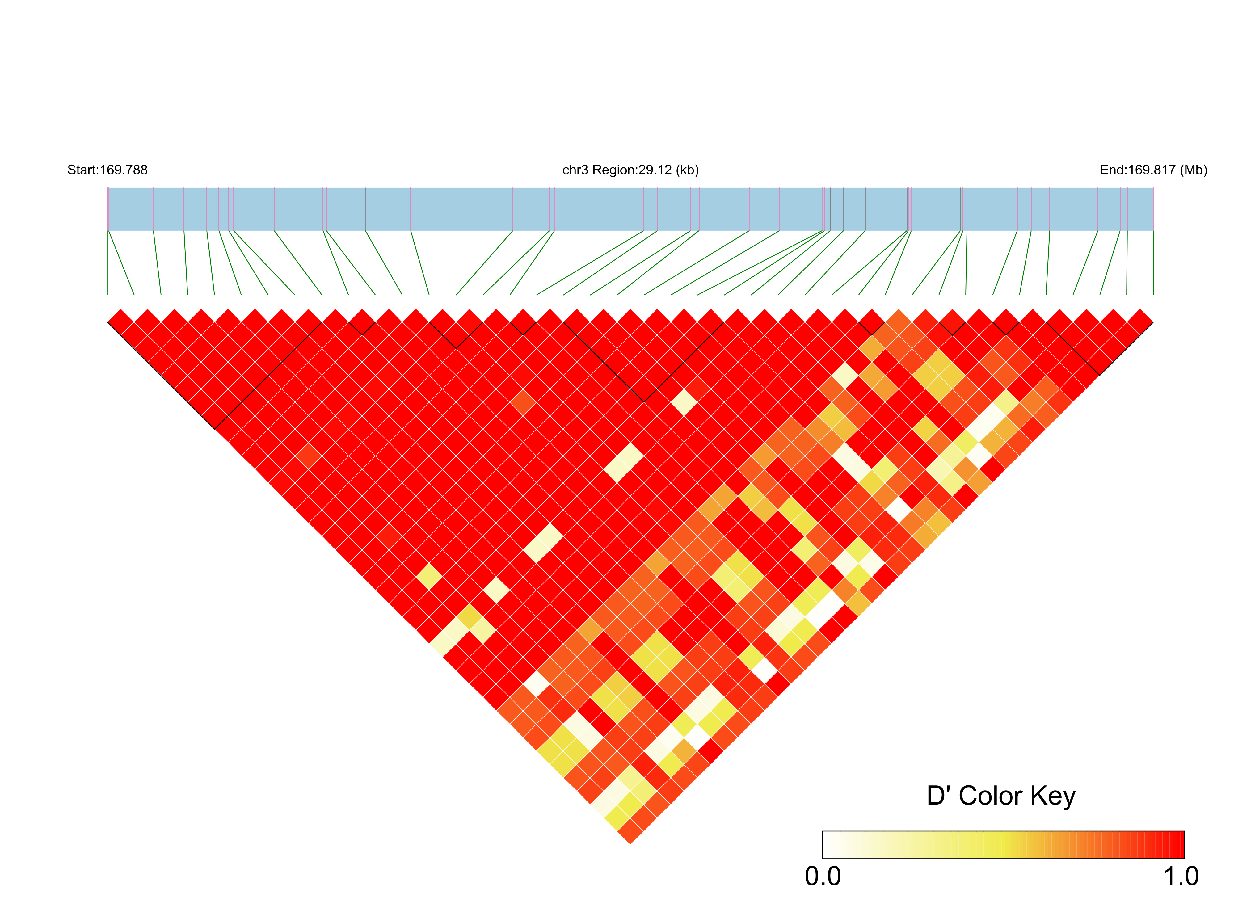 LD