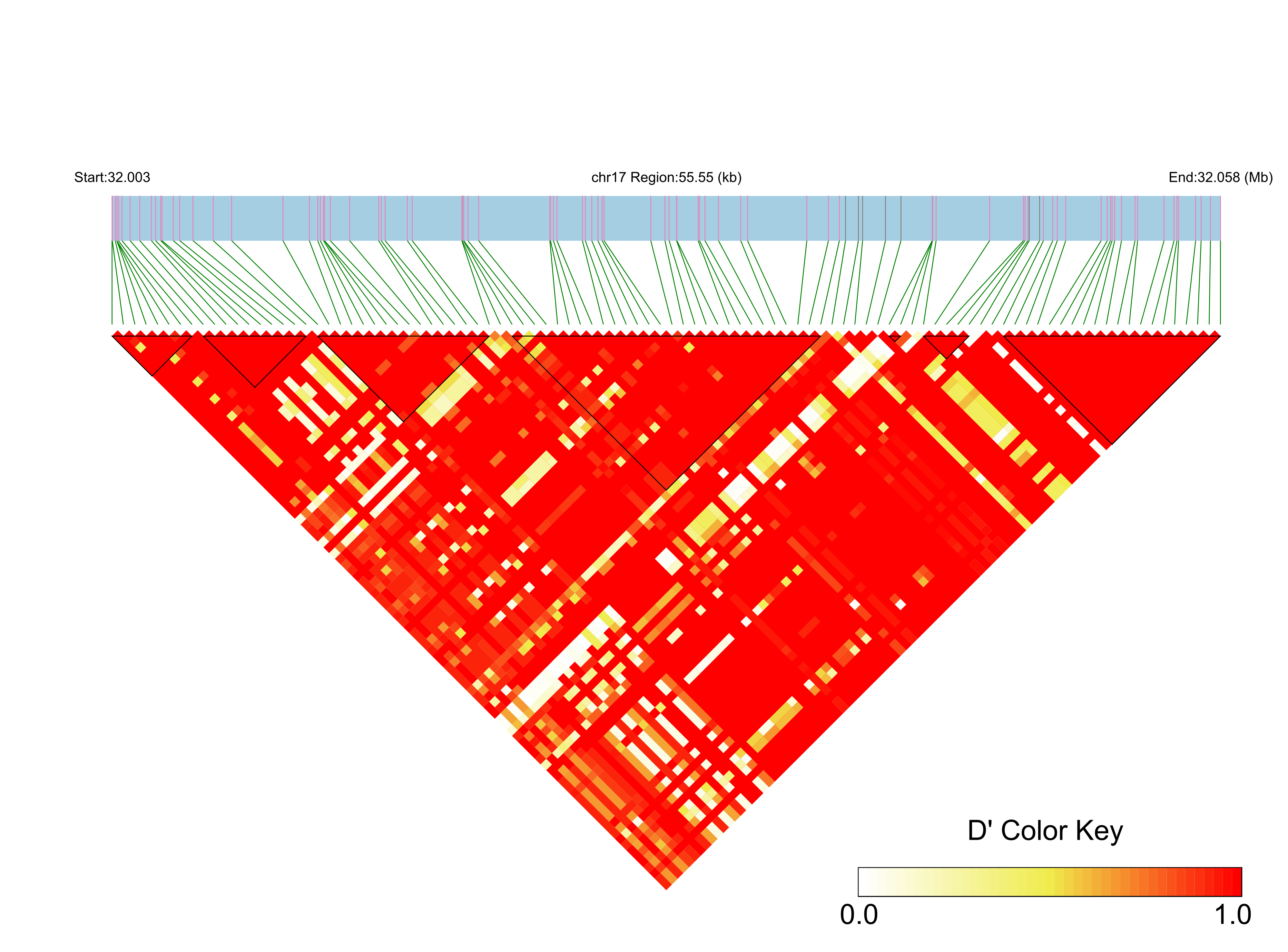 LD