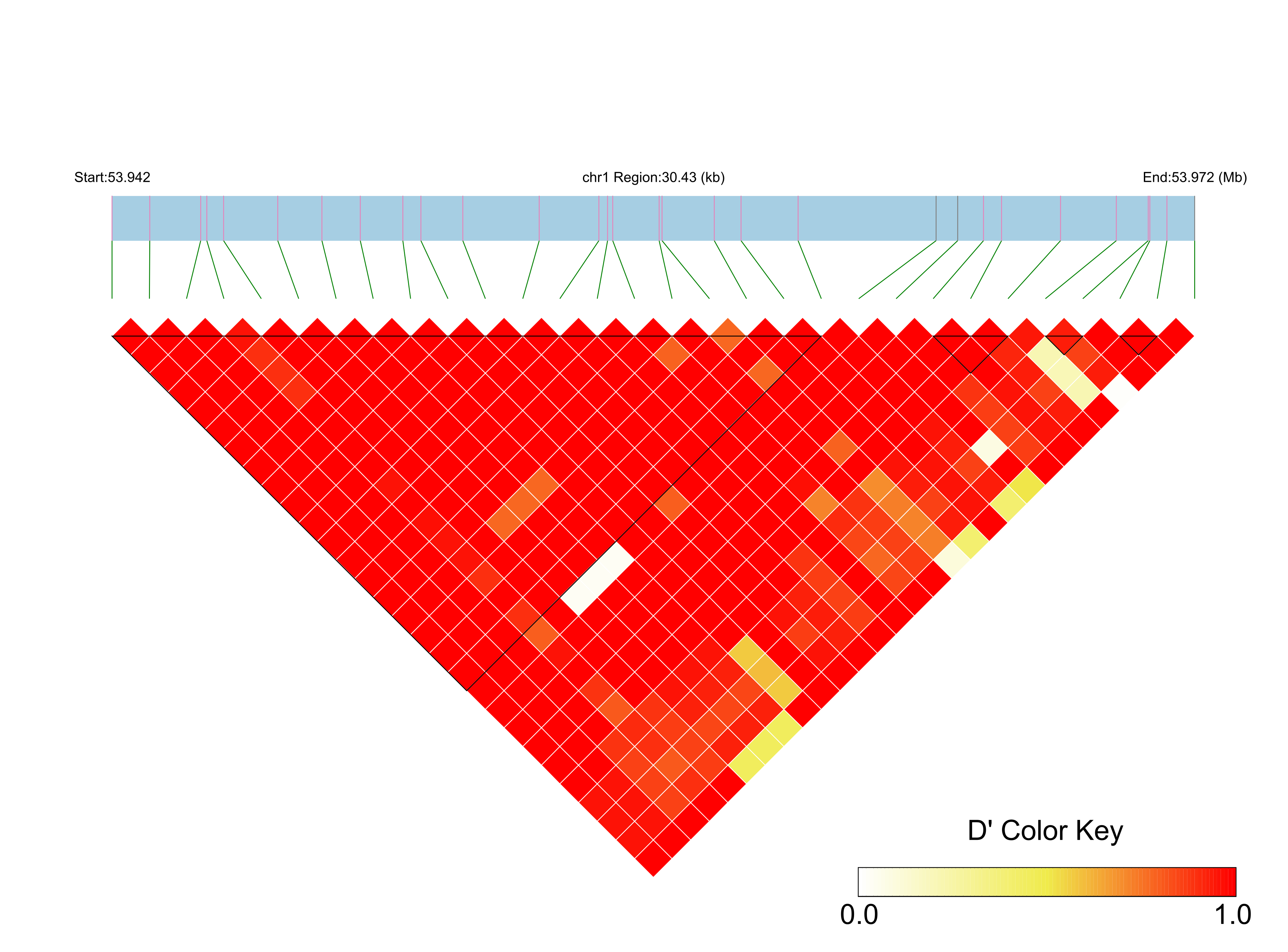 LD