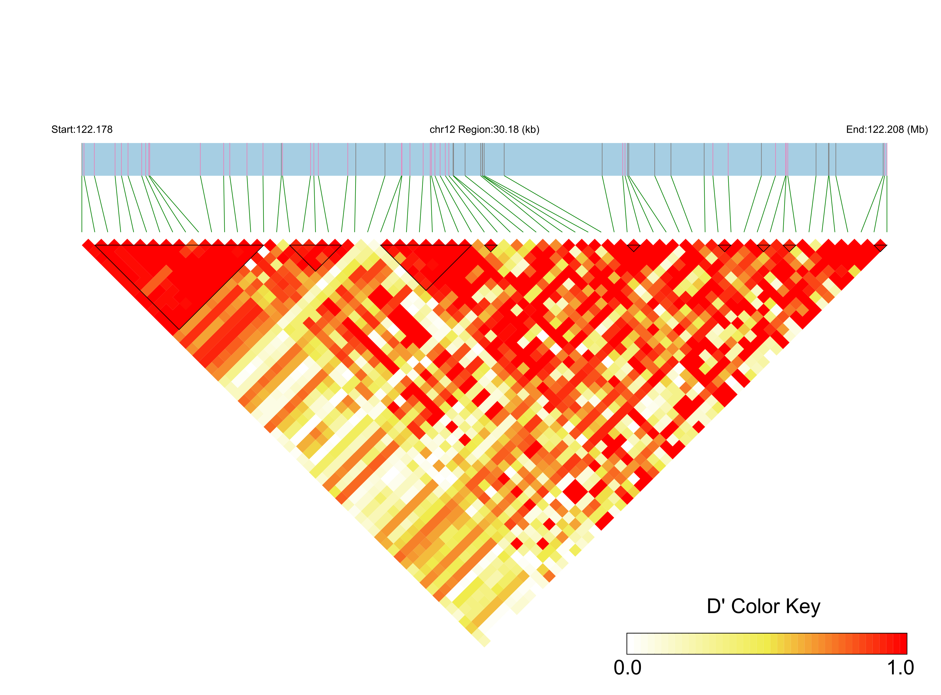 LD