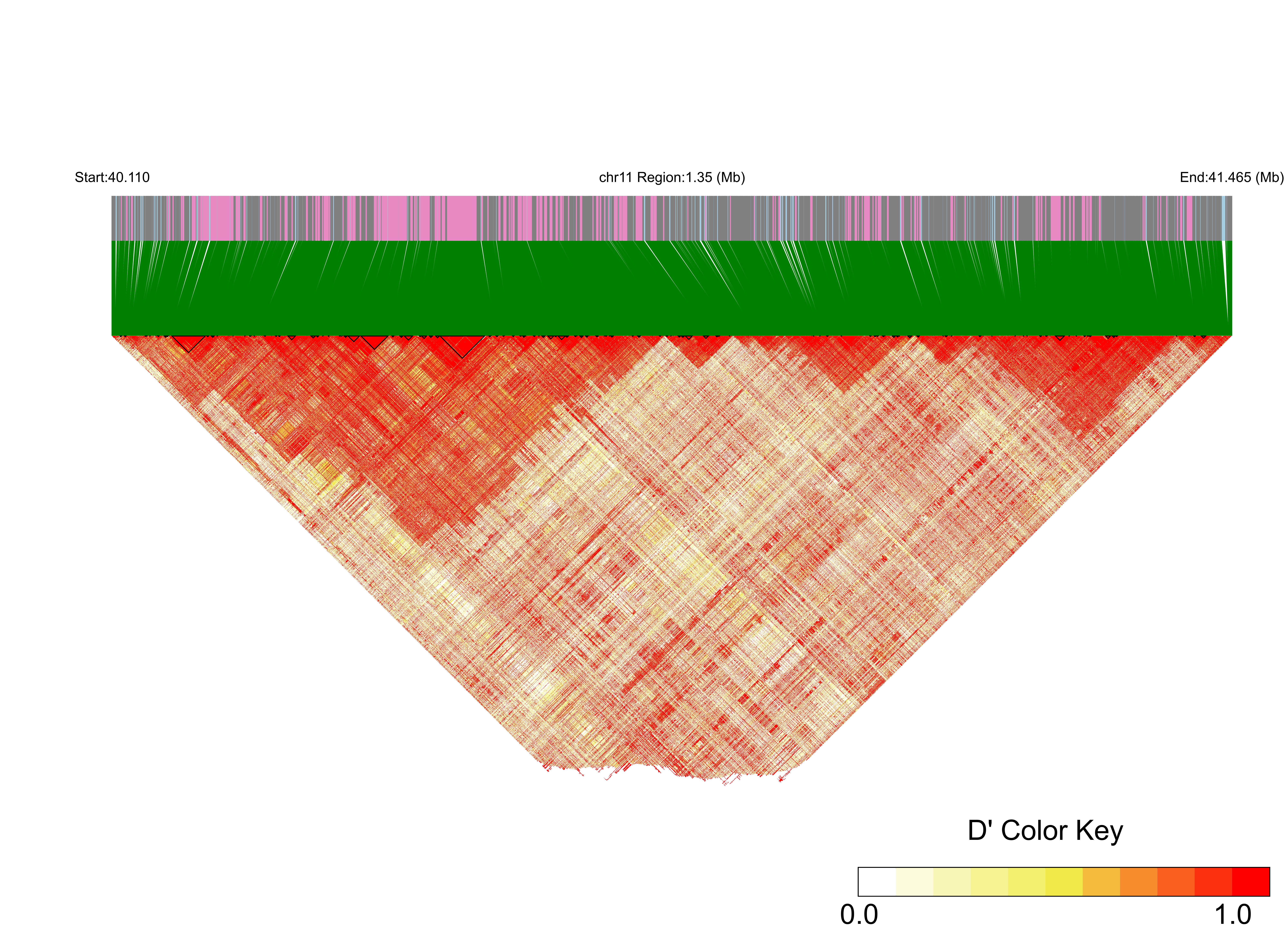 LD
